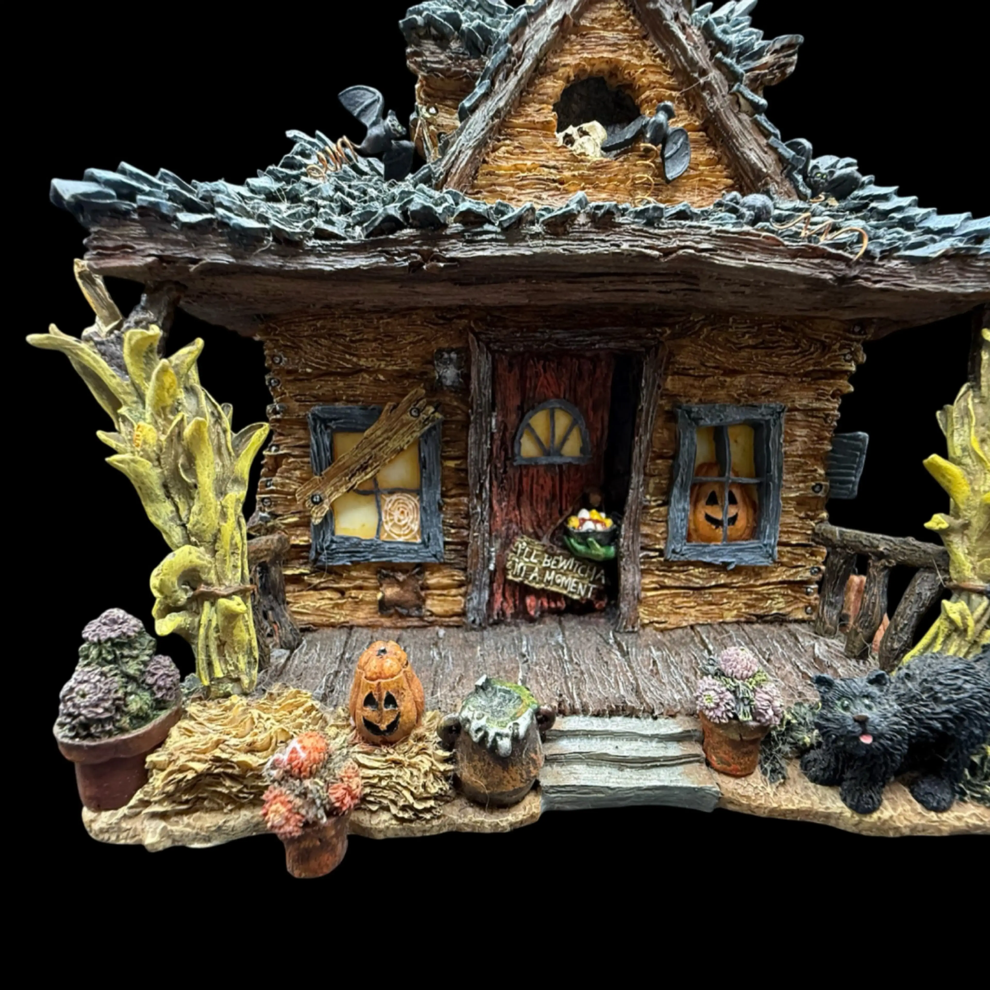Image 3 of 7