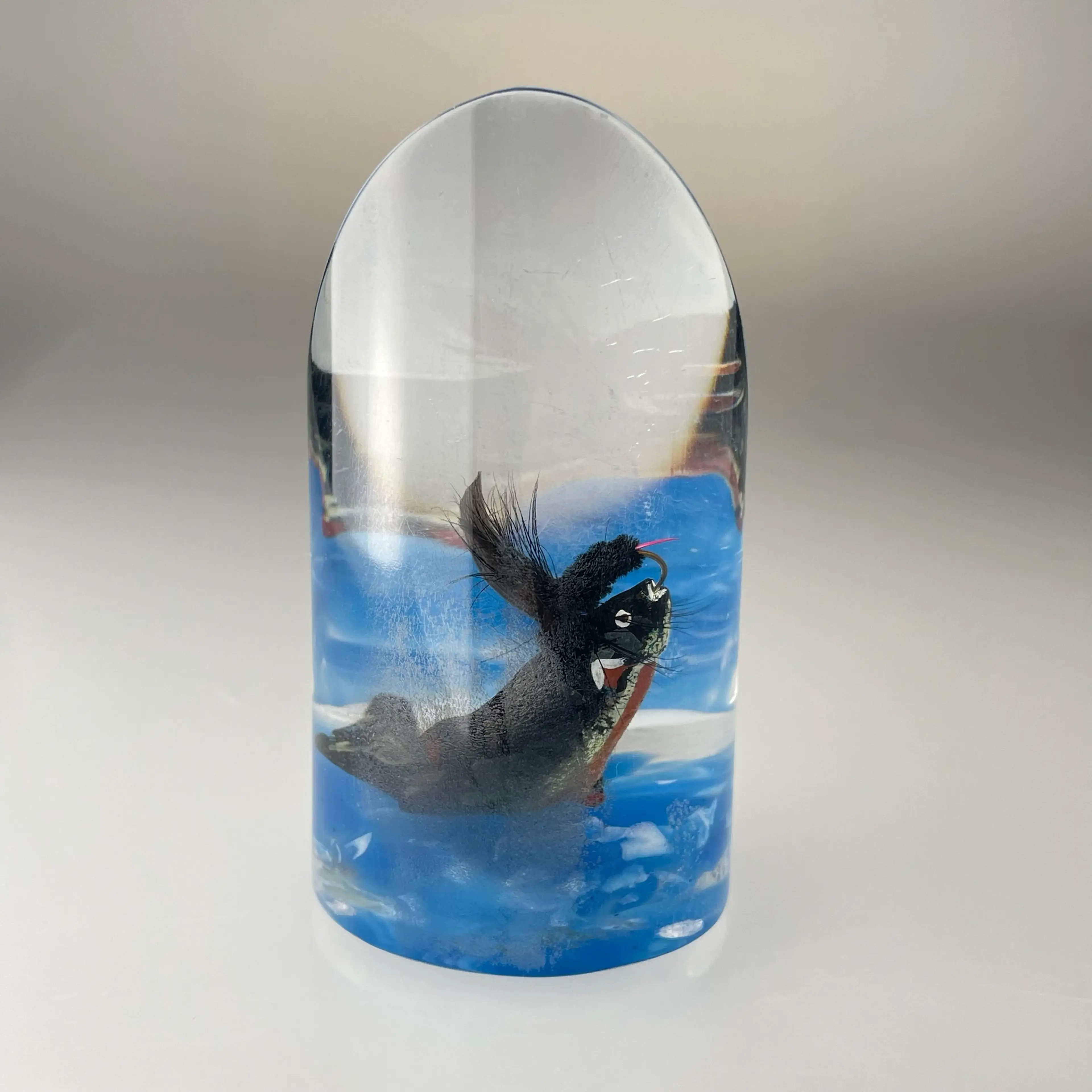 Image 4 of 12