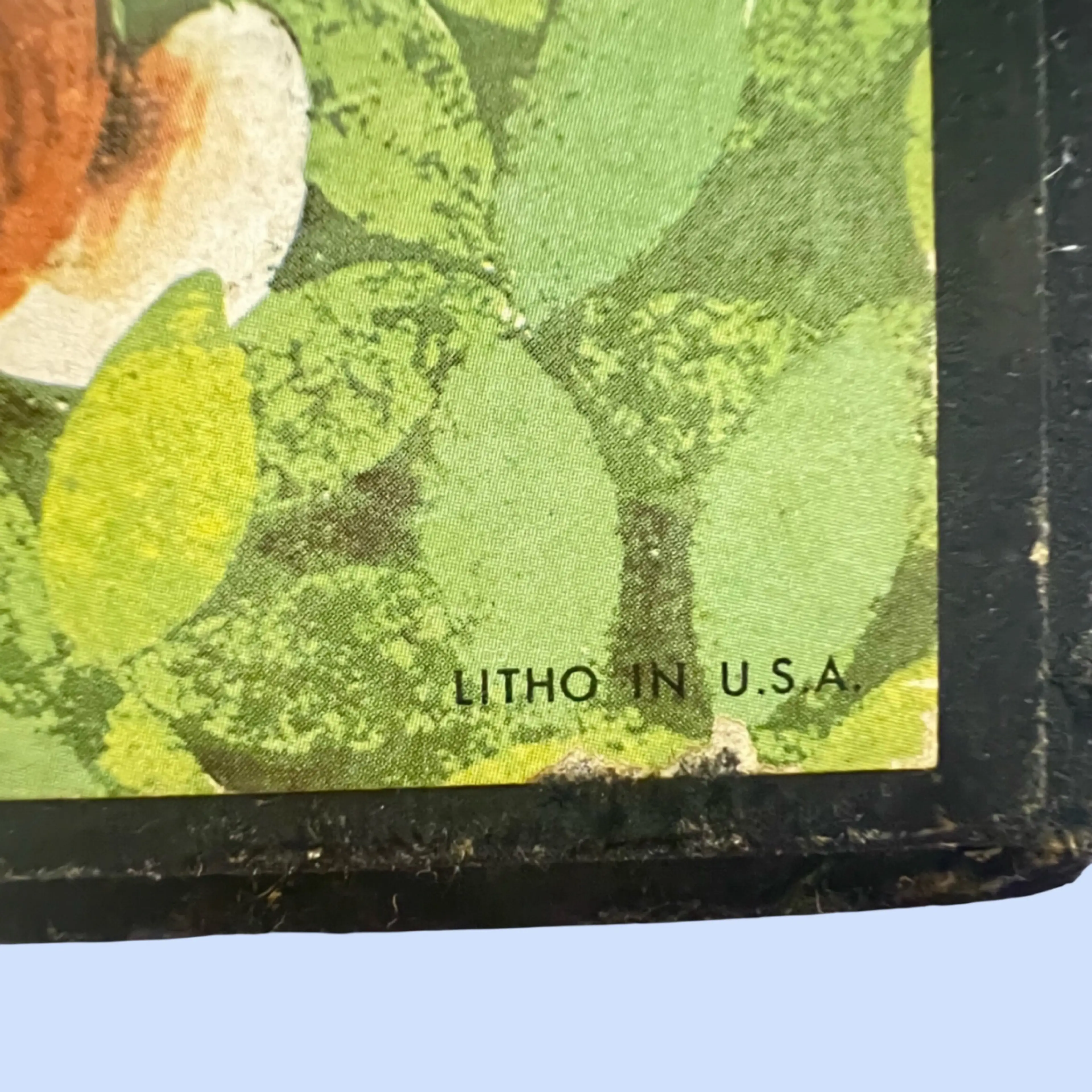 Image 4 of 7