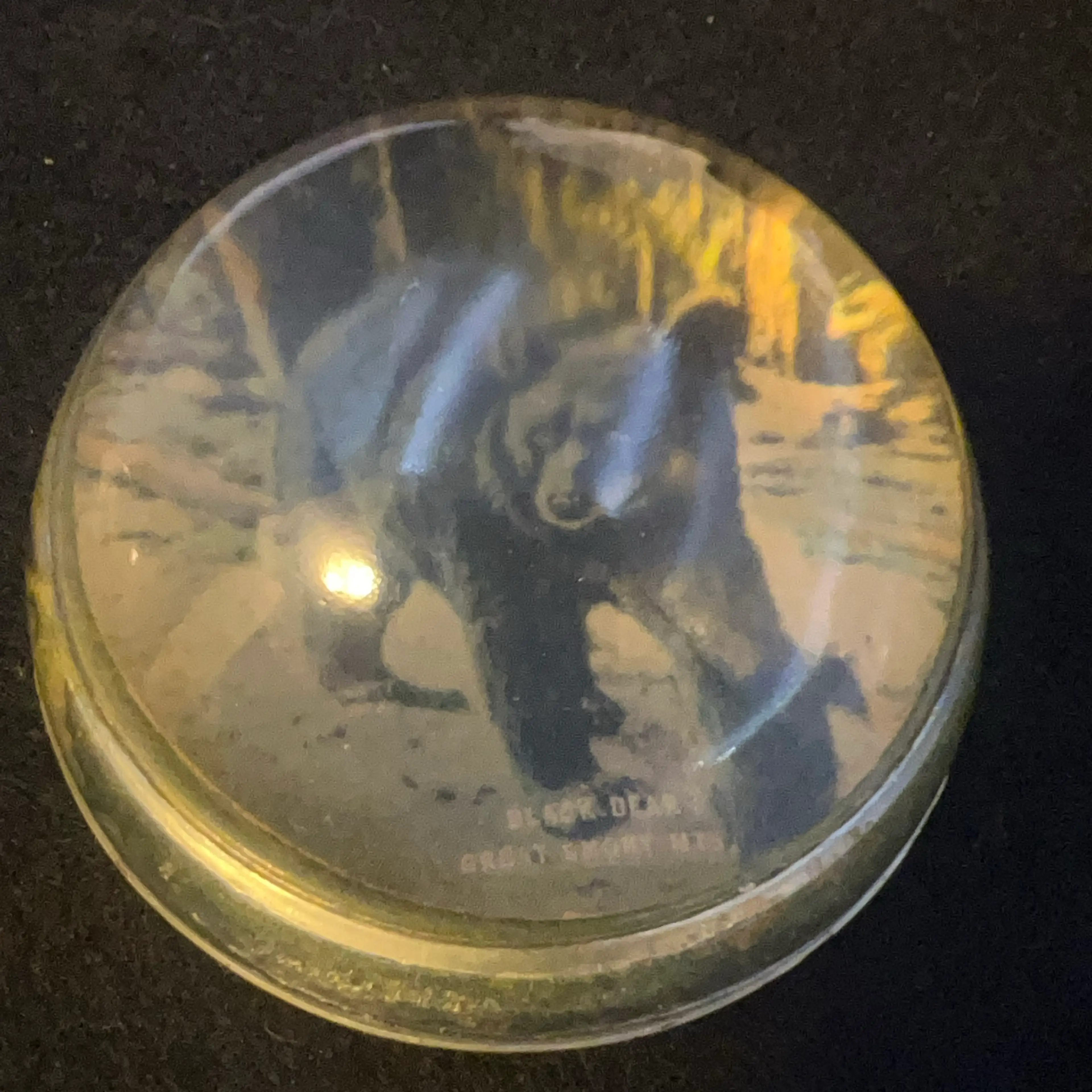 Image 2 of 6