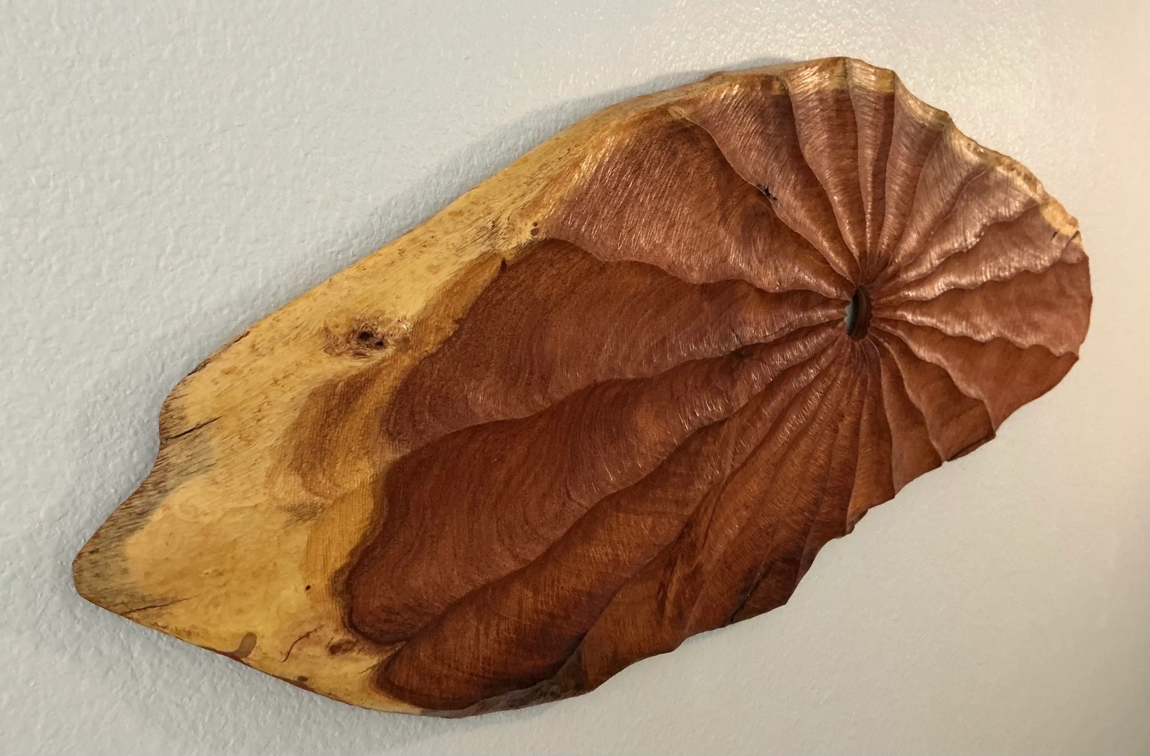 Image 4 of 5