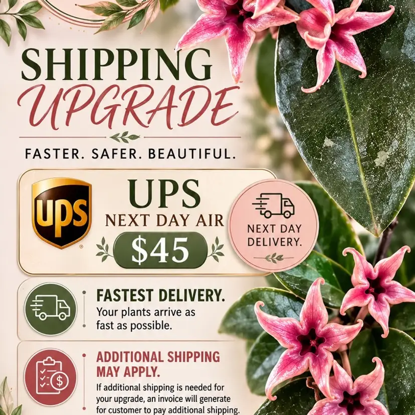 Overnight UPS upgrade shipping (up to 5 plants)