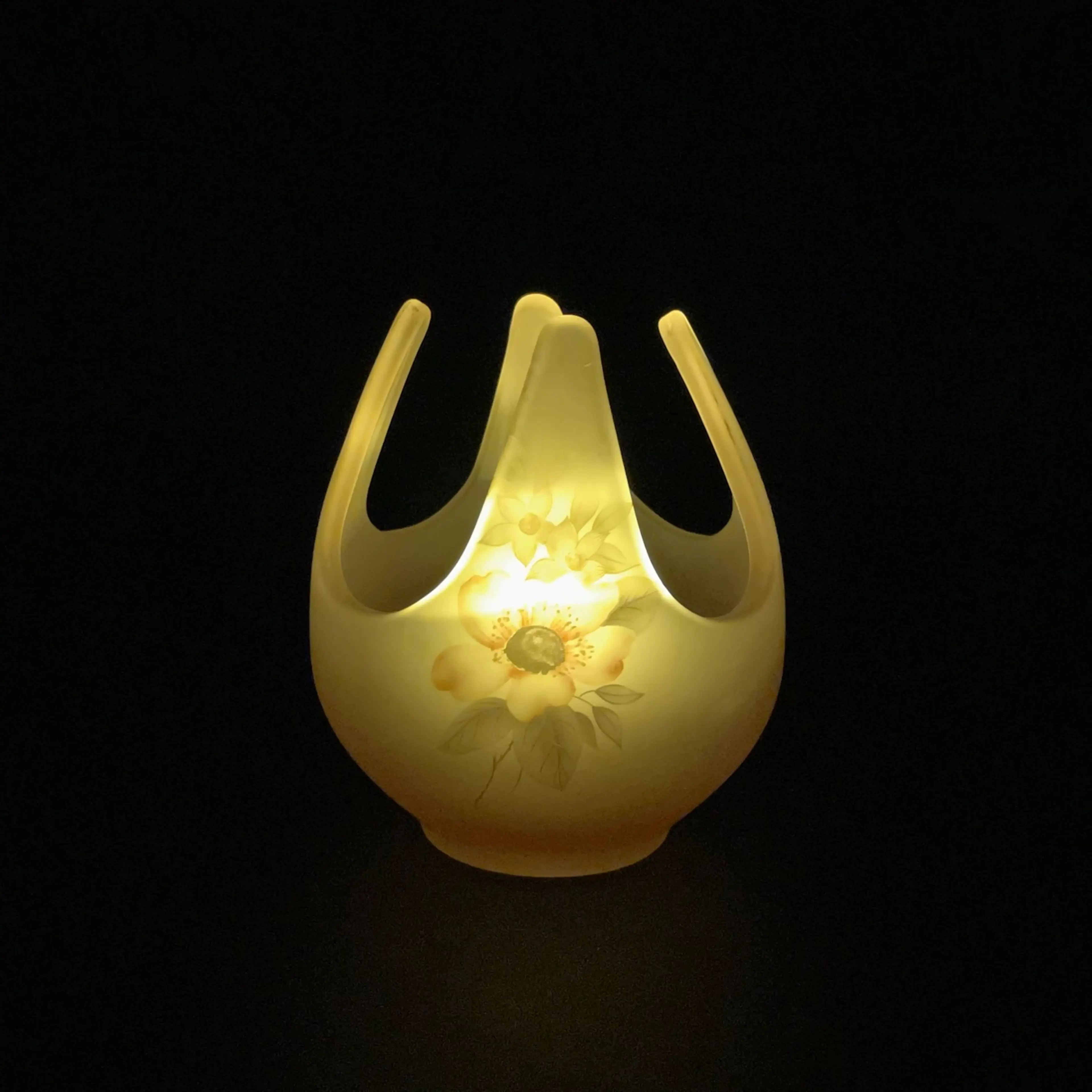 Image 2 of 14