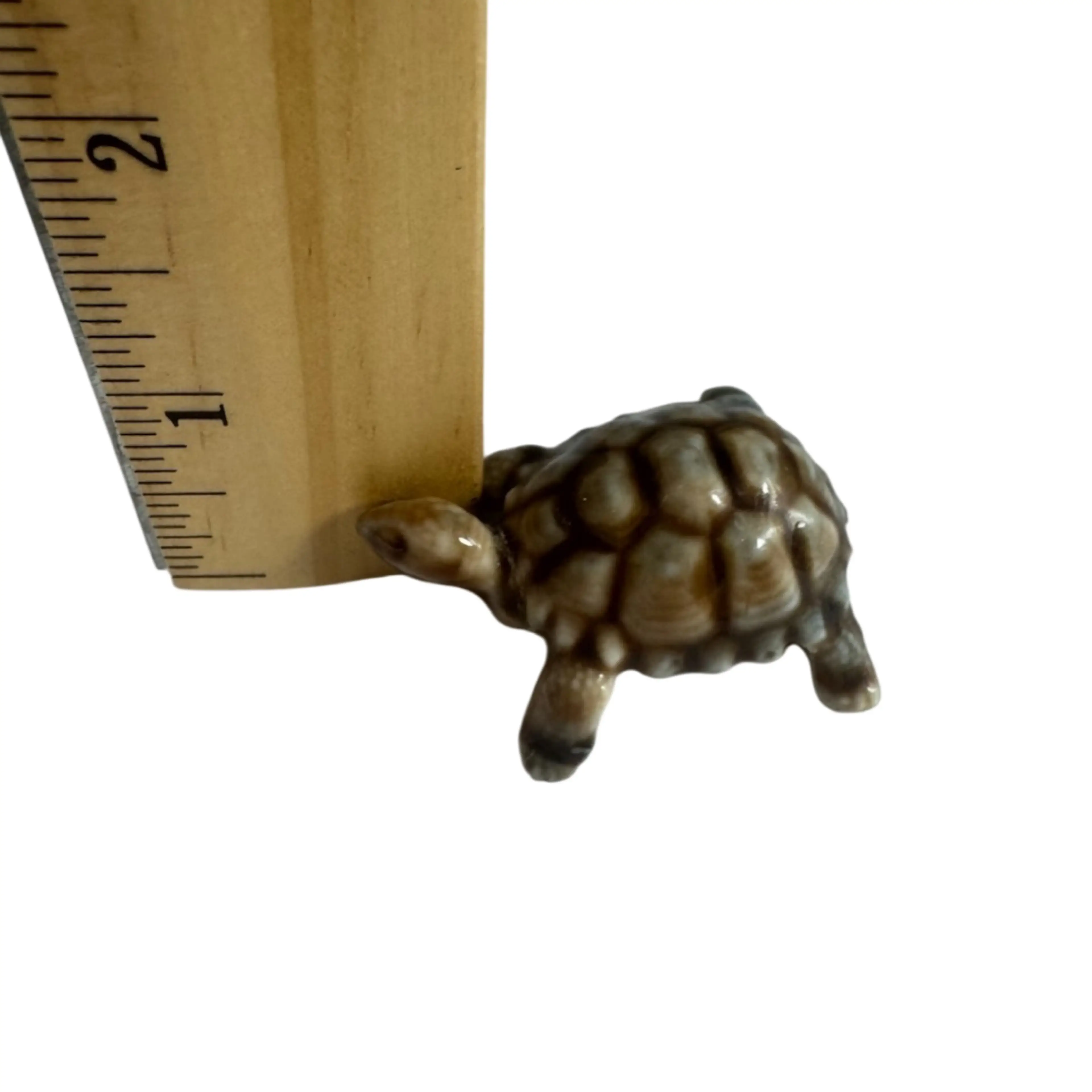 Image 4 of 5