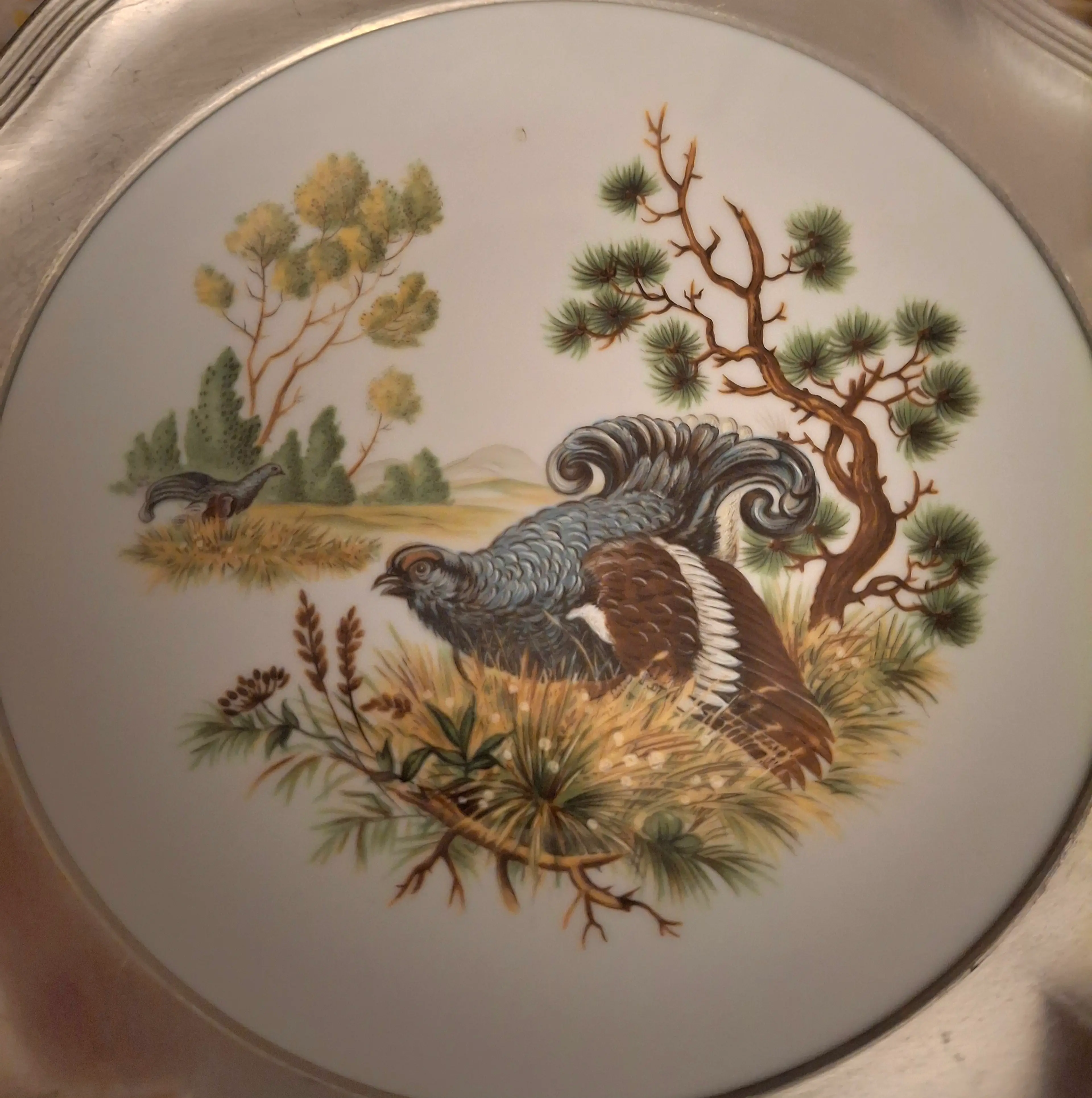 Image 1 of 5