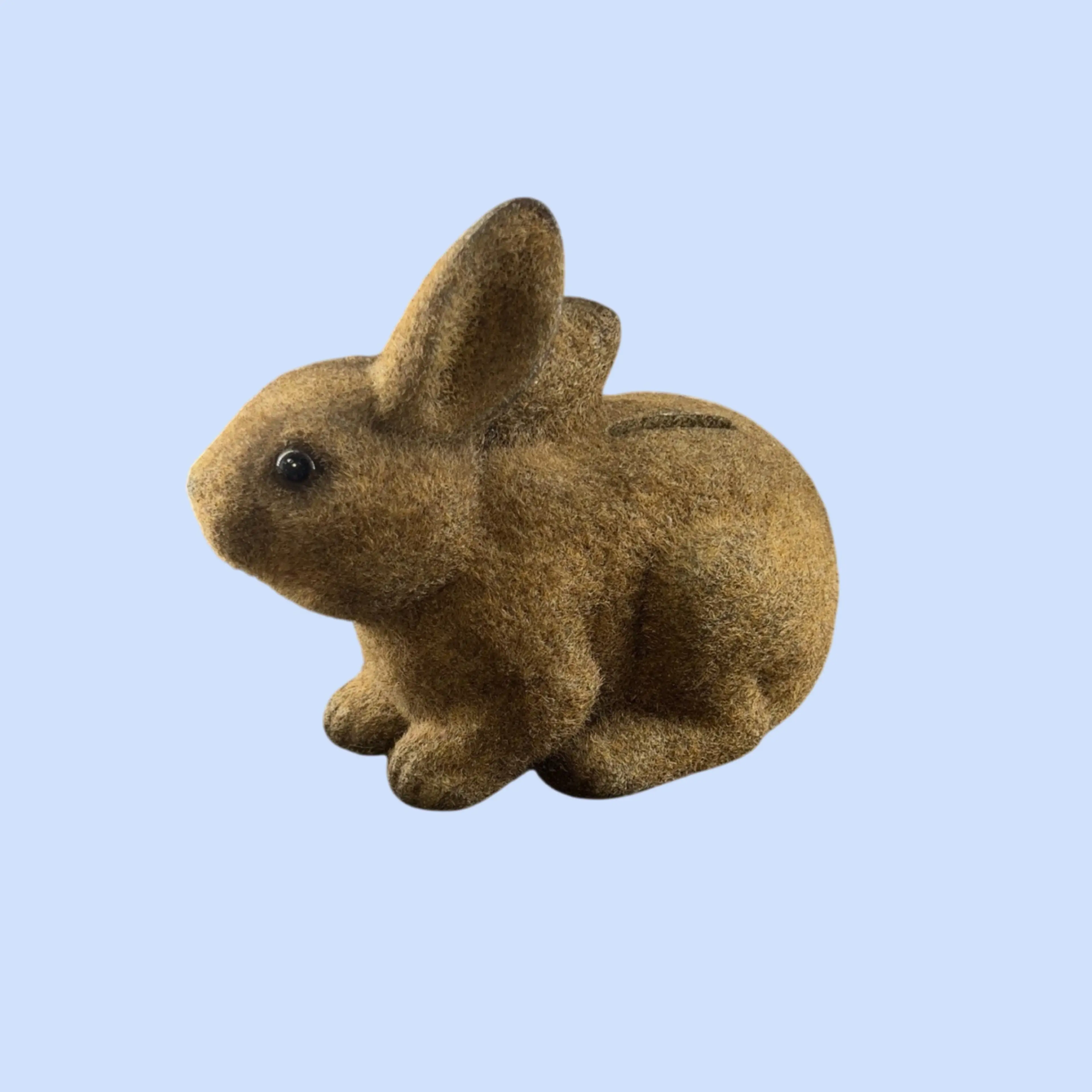 Image 2 of 12