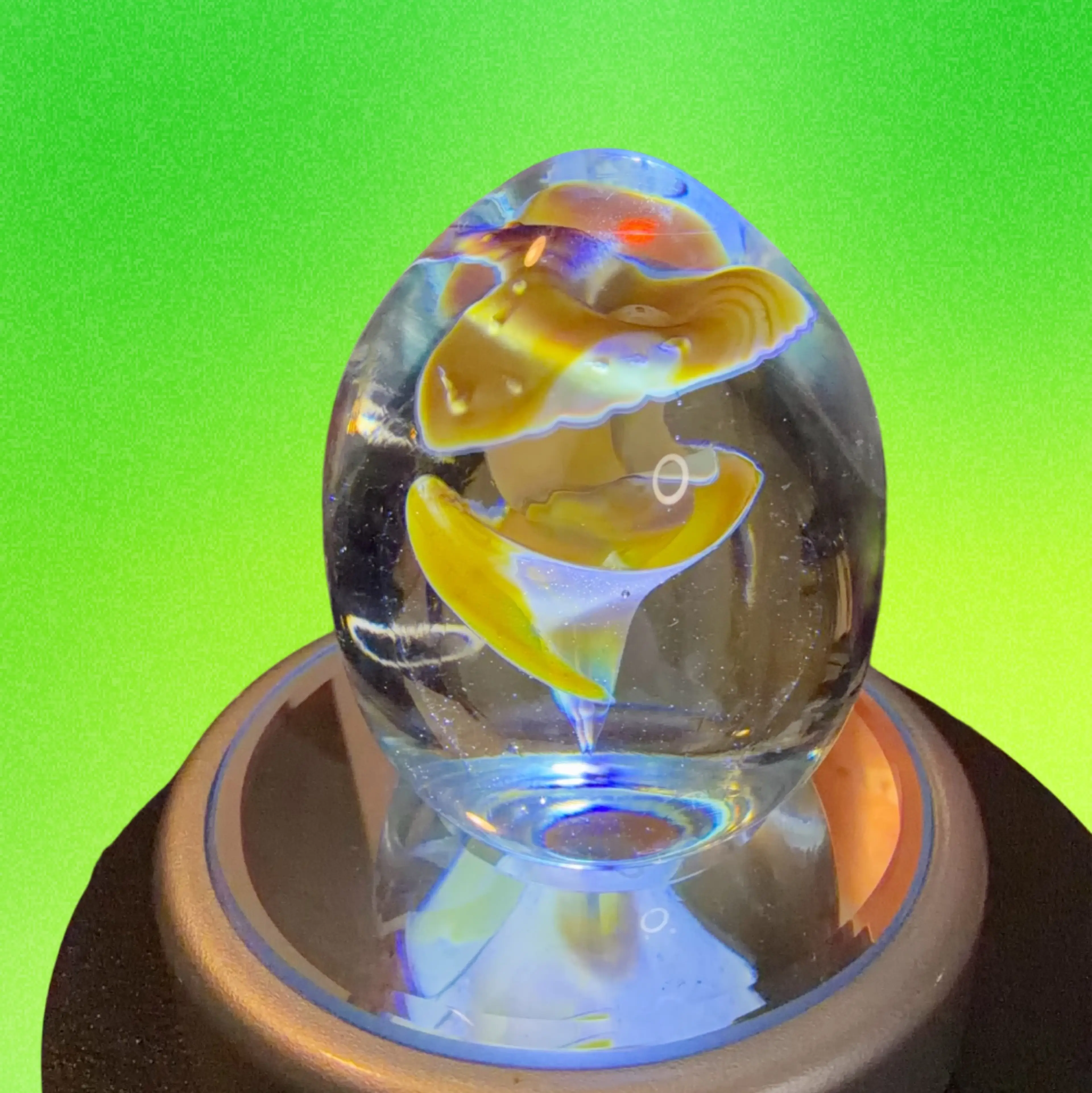 Image 4 of 8