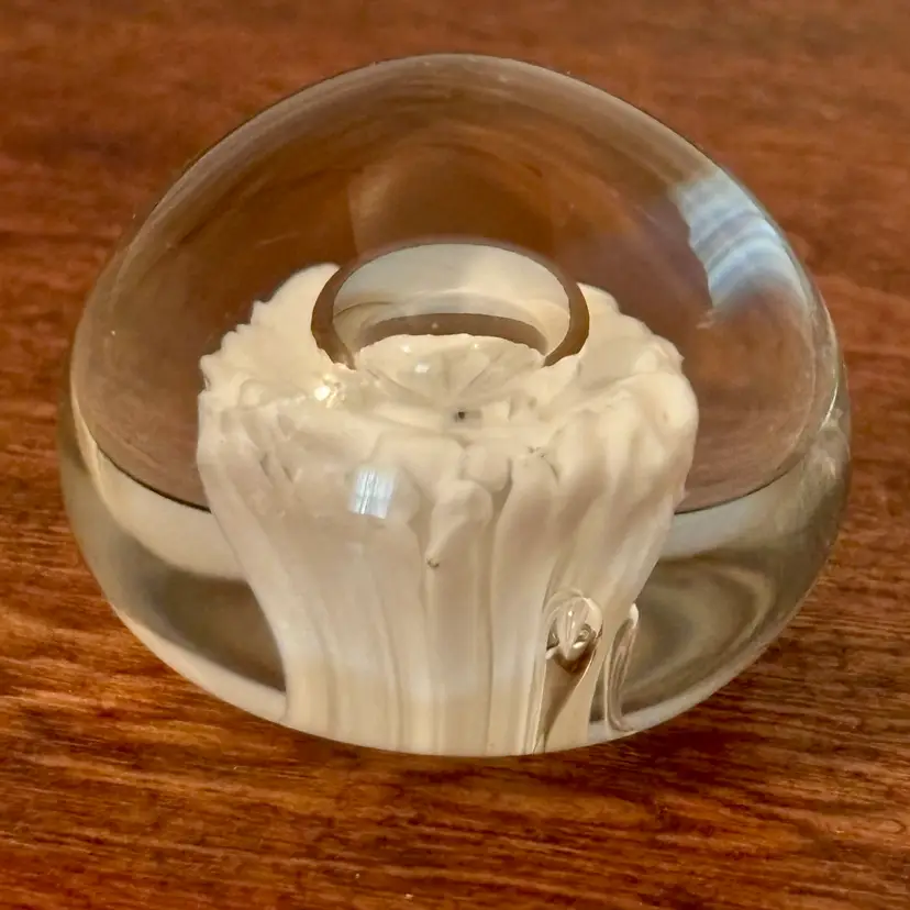 Paperweight enclosed white ruffled or crimped flower 1.25”