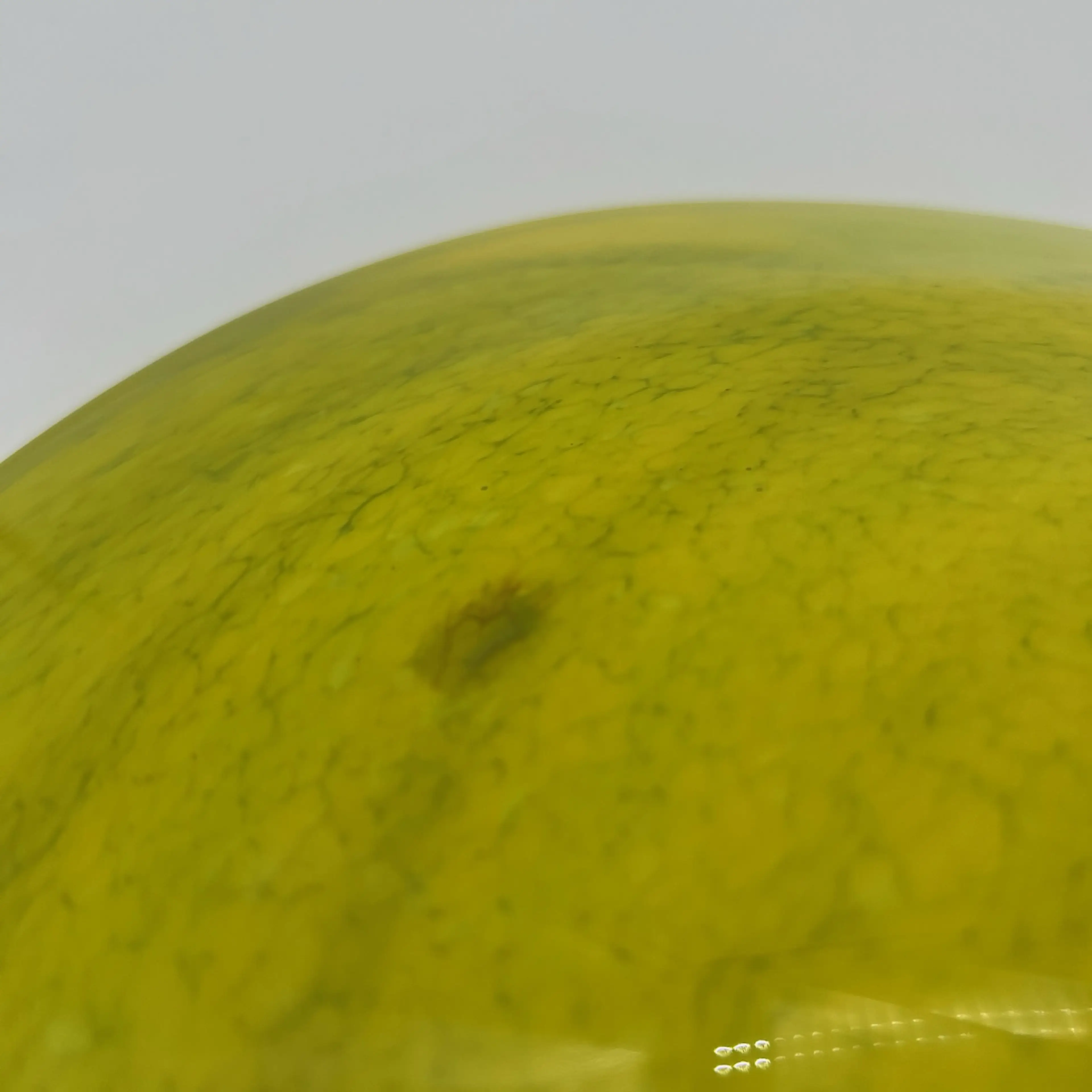 Image 5 of 8