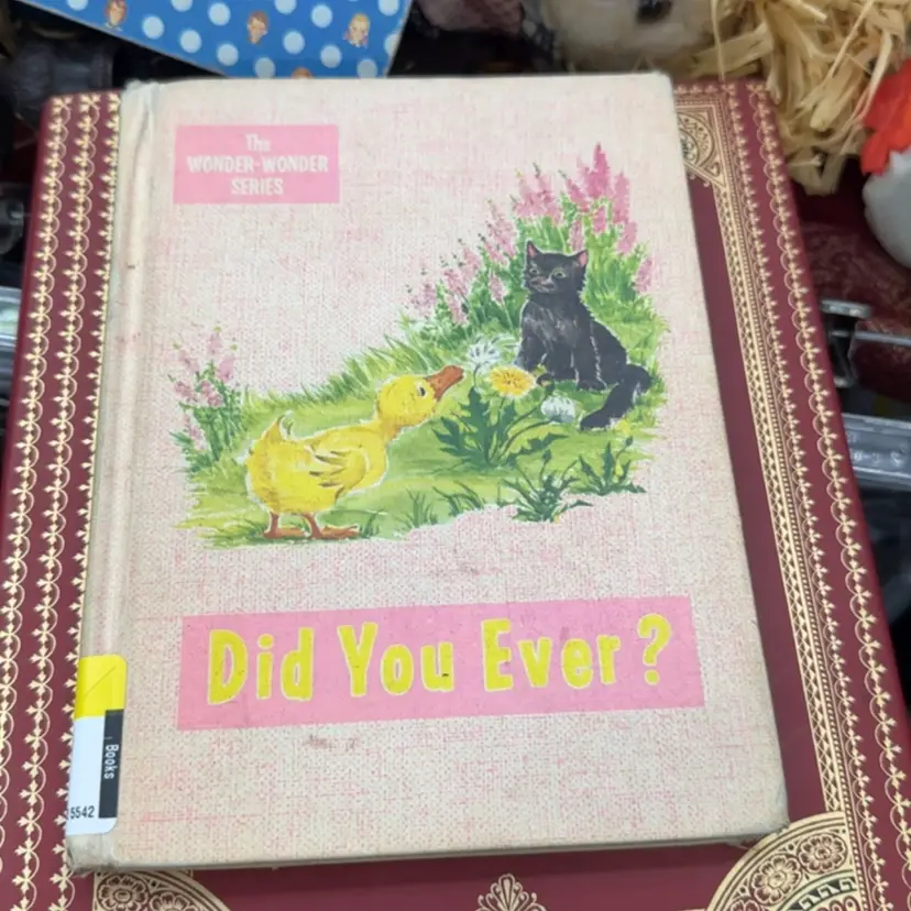 Did You Ever Book