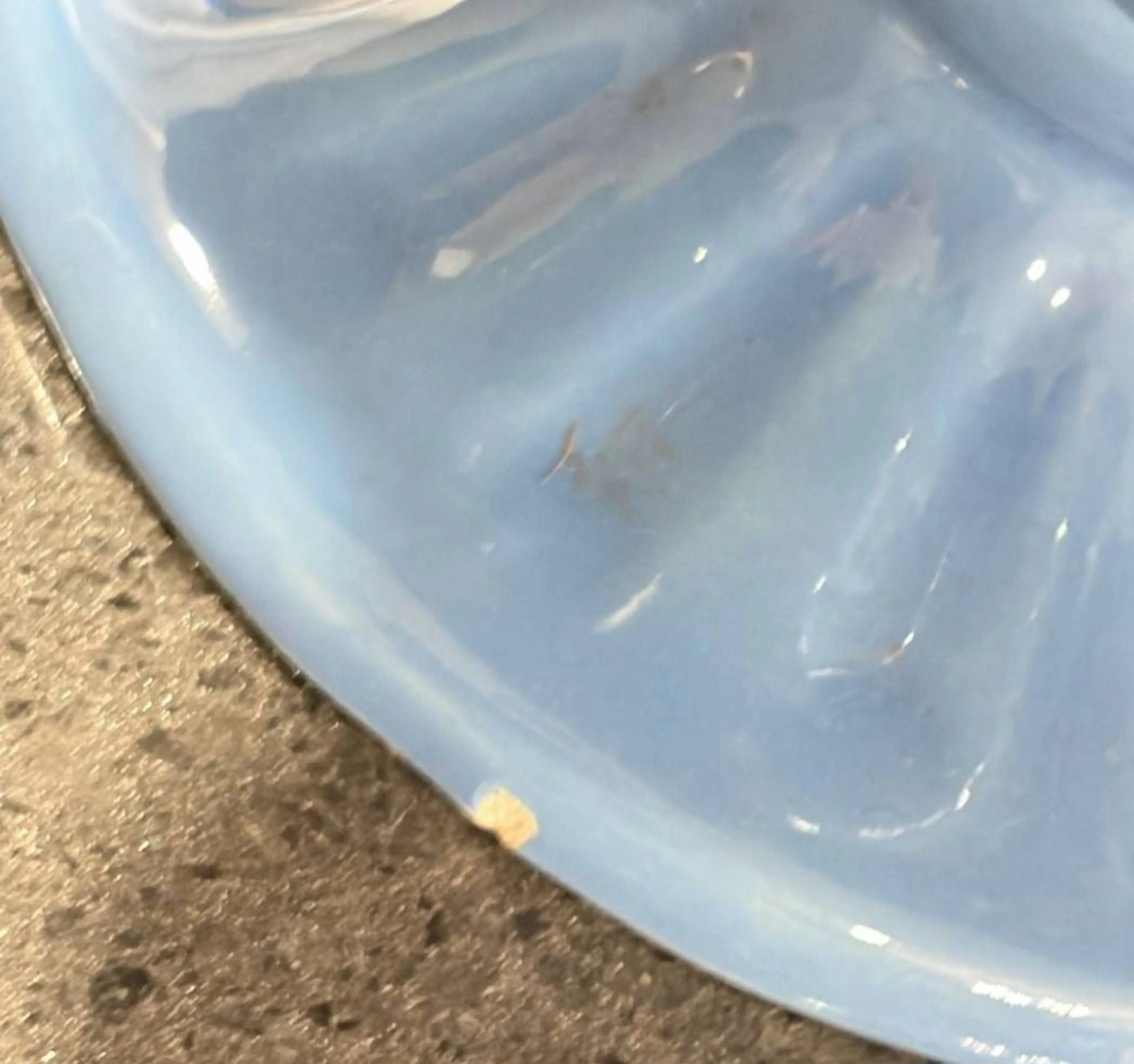 Image 2 of 4