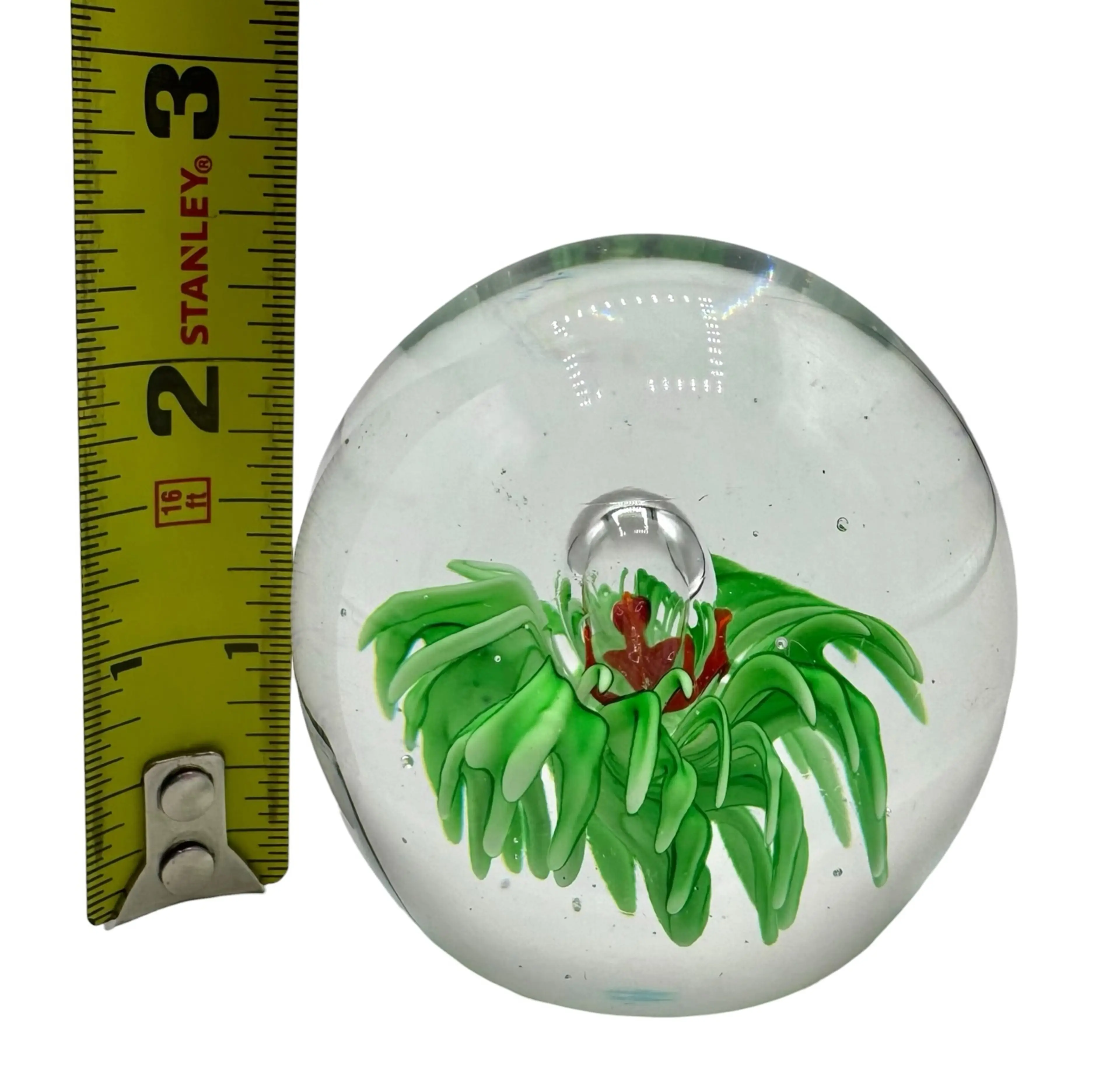Image 4 of 5