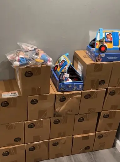 New Ms Rachel Baby Toys 