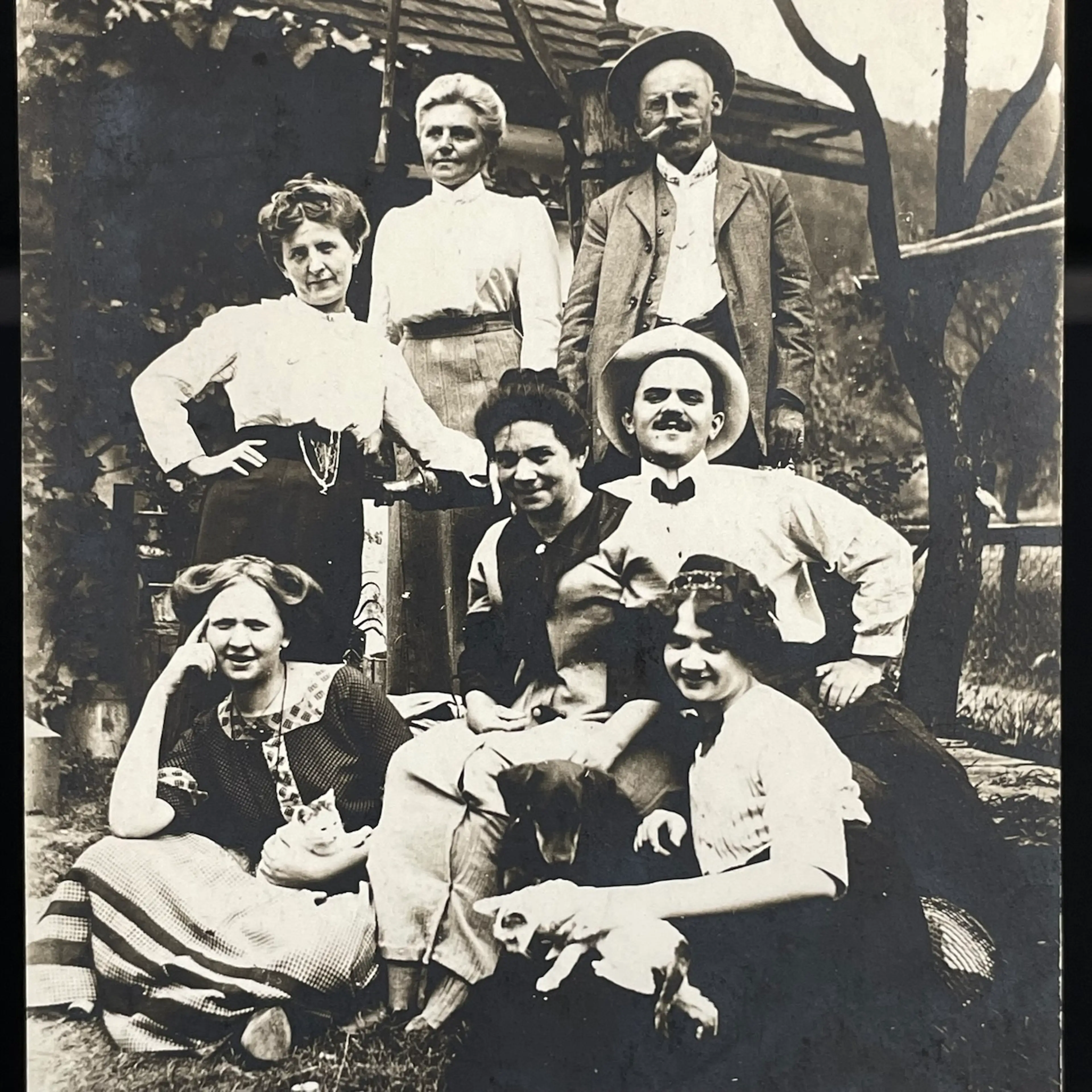 Image 2 of 8
