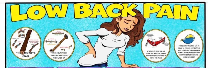 Low Back Pain Patient Education Poster | Back Pain Causes, Symptoms & Treatment | Printable Health Guide (Digital Download)