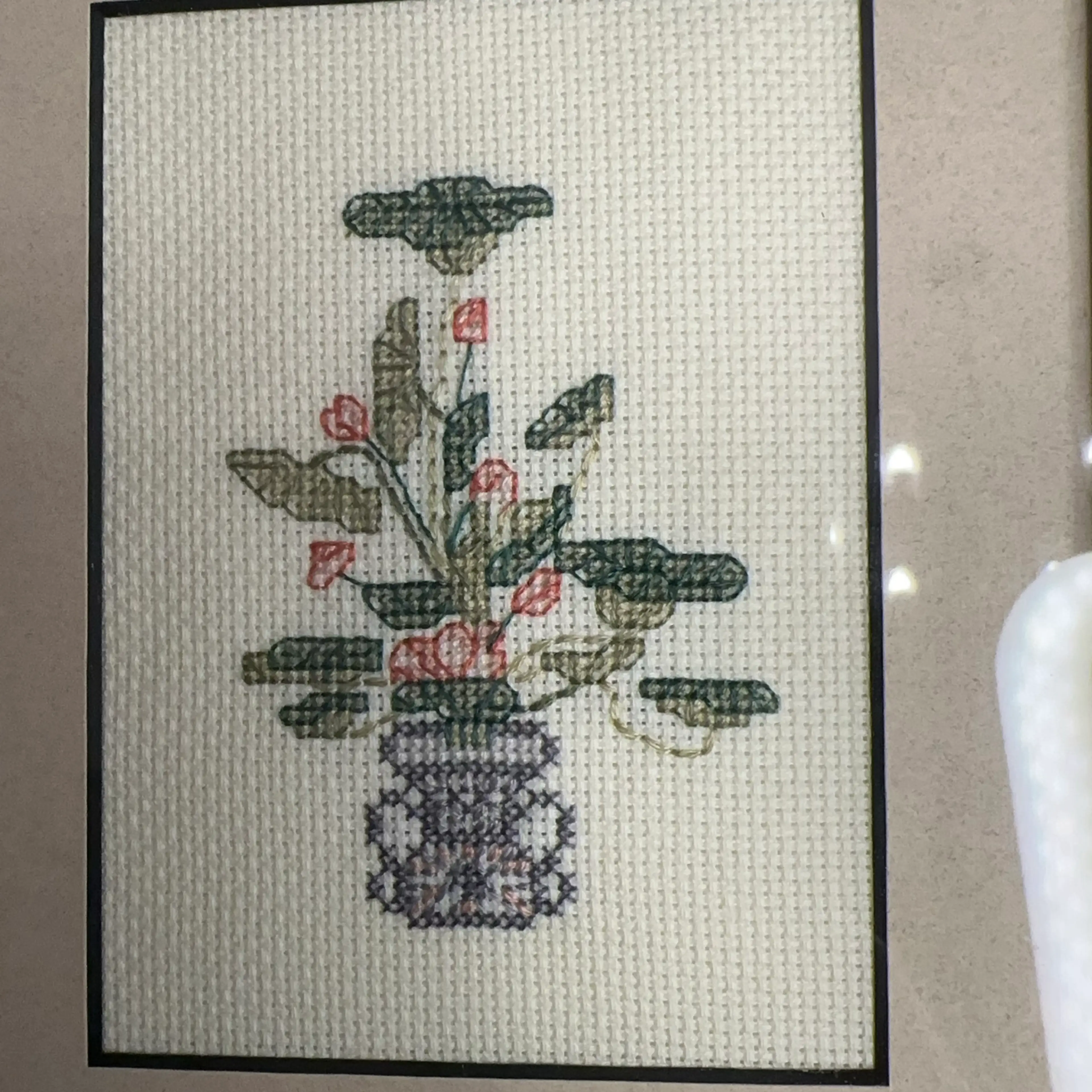 Image 3 of 5