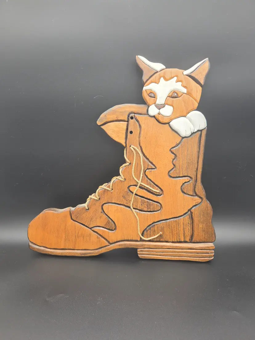One-of-a-kind cat in a shoe