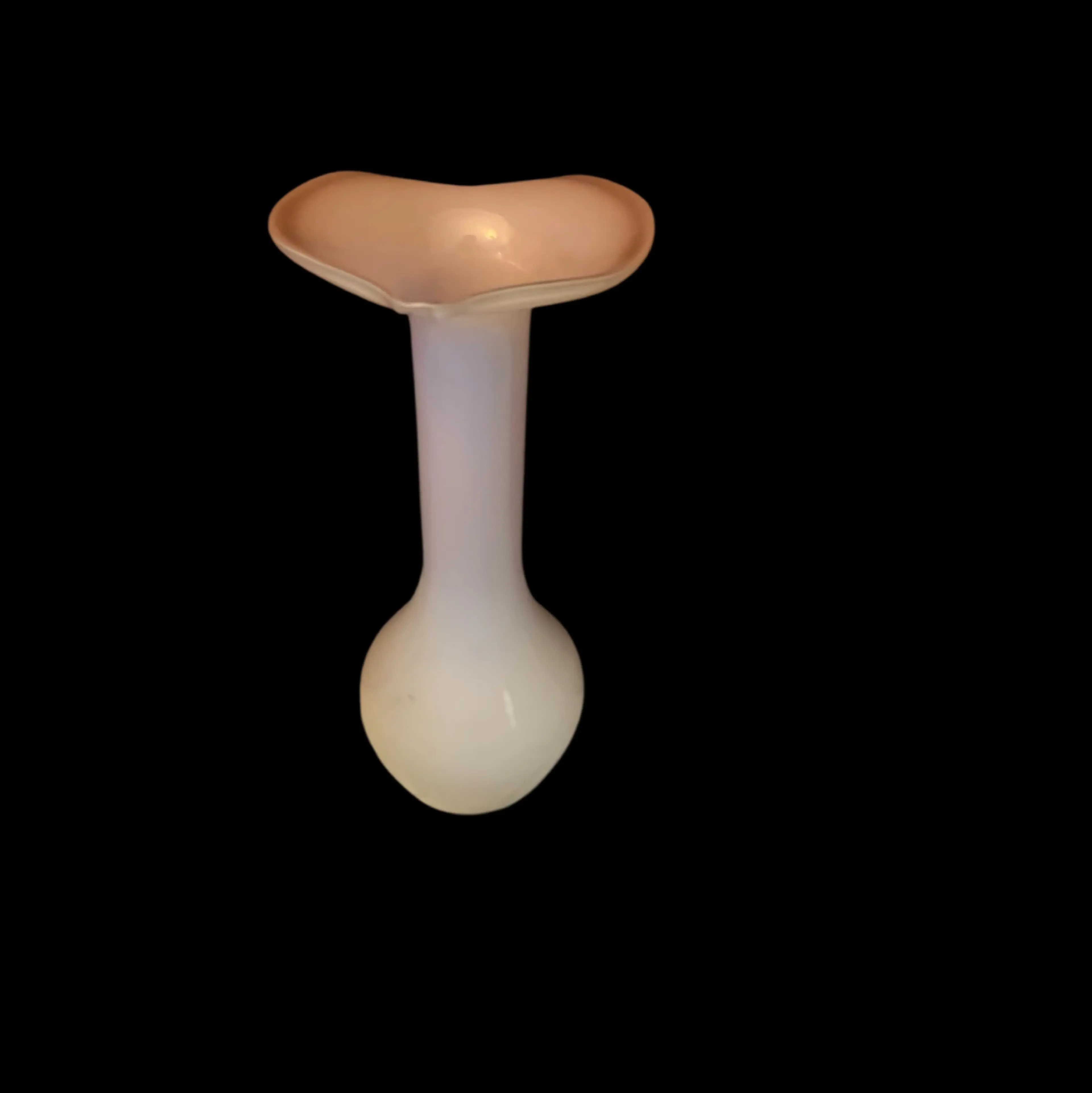 Image 3 of 5