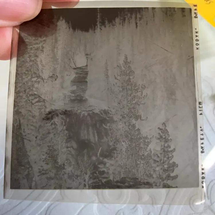 Vintage Large Format Negative (pack of 10) Scenery