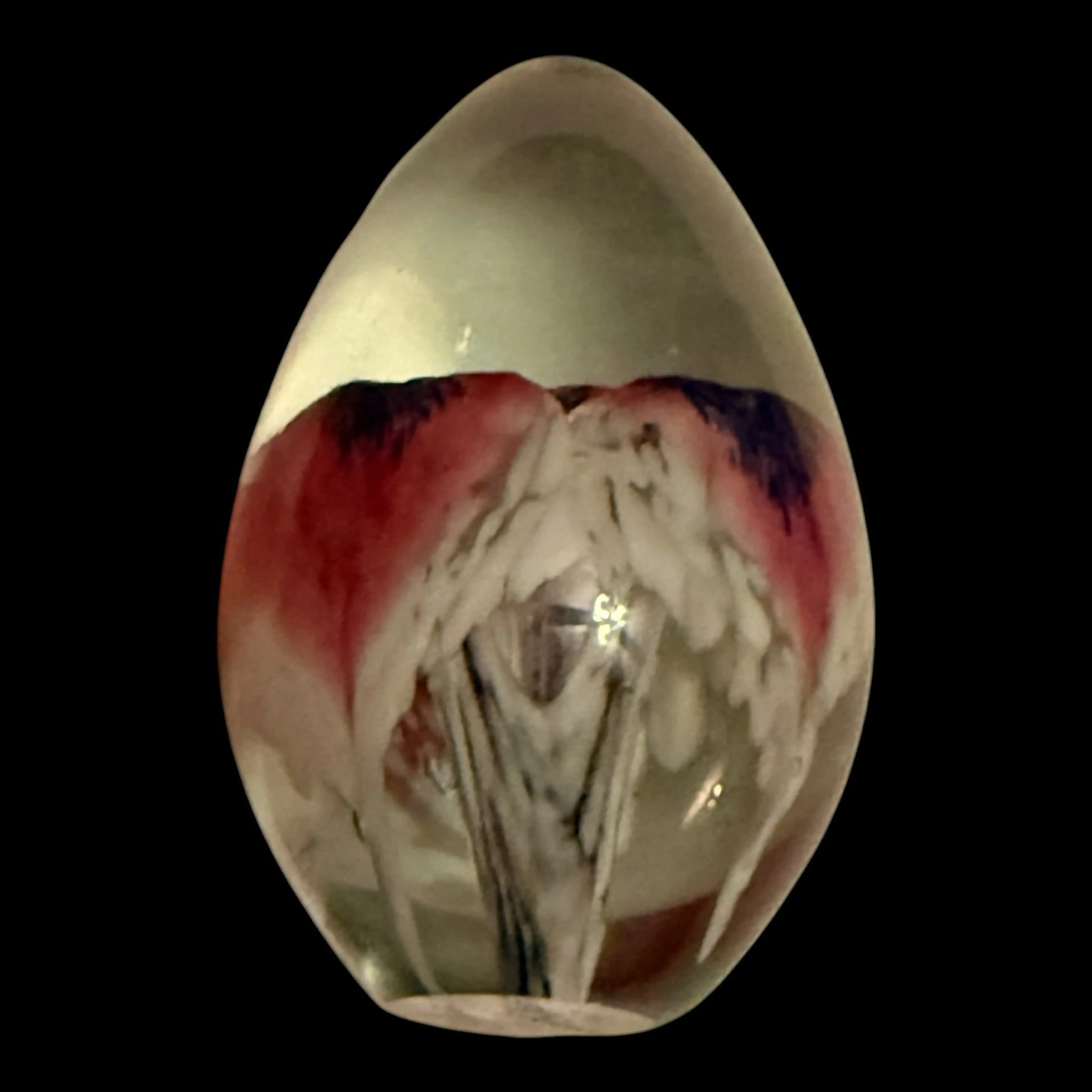 Image 3 of 6