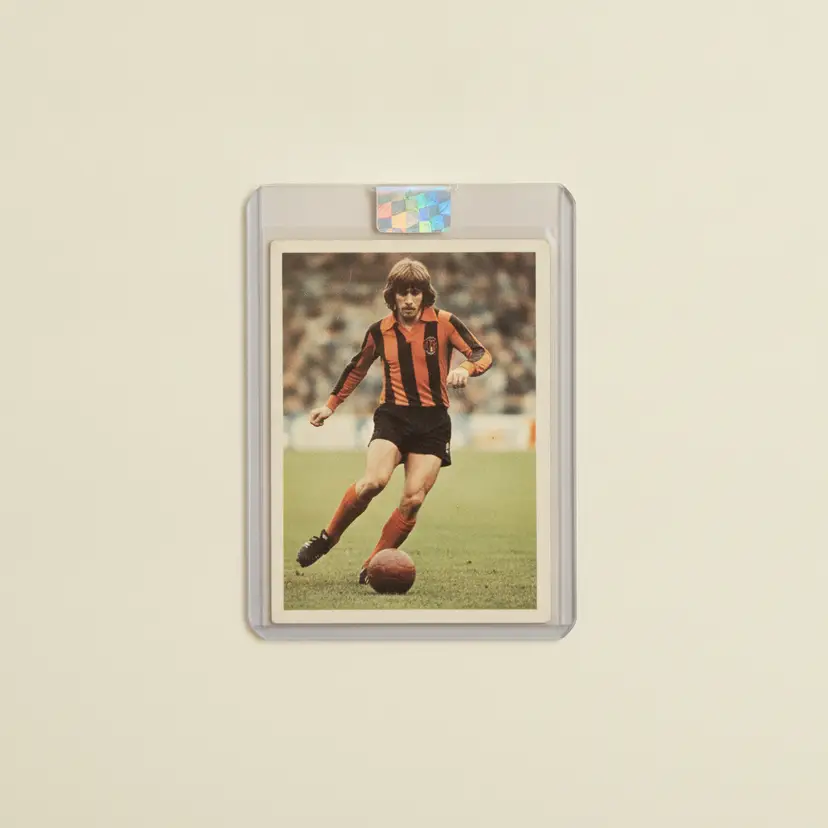 Collection Thumbnail