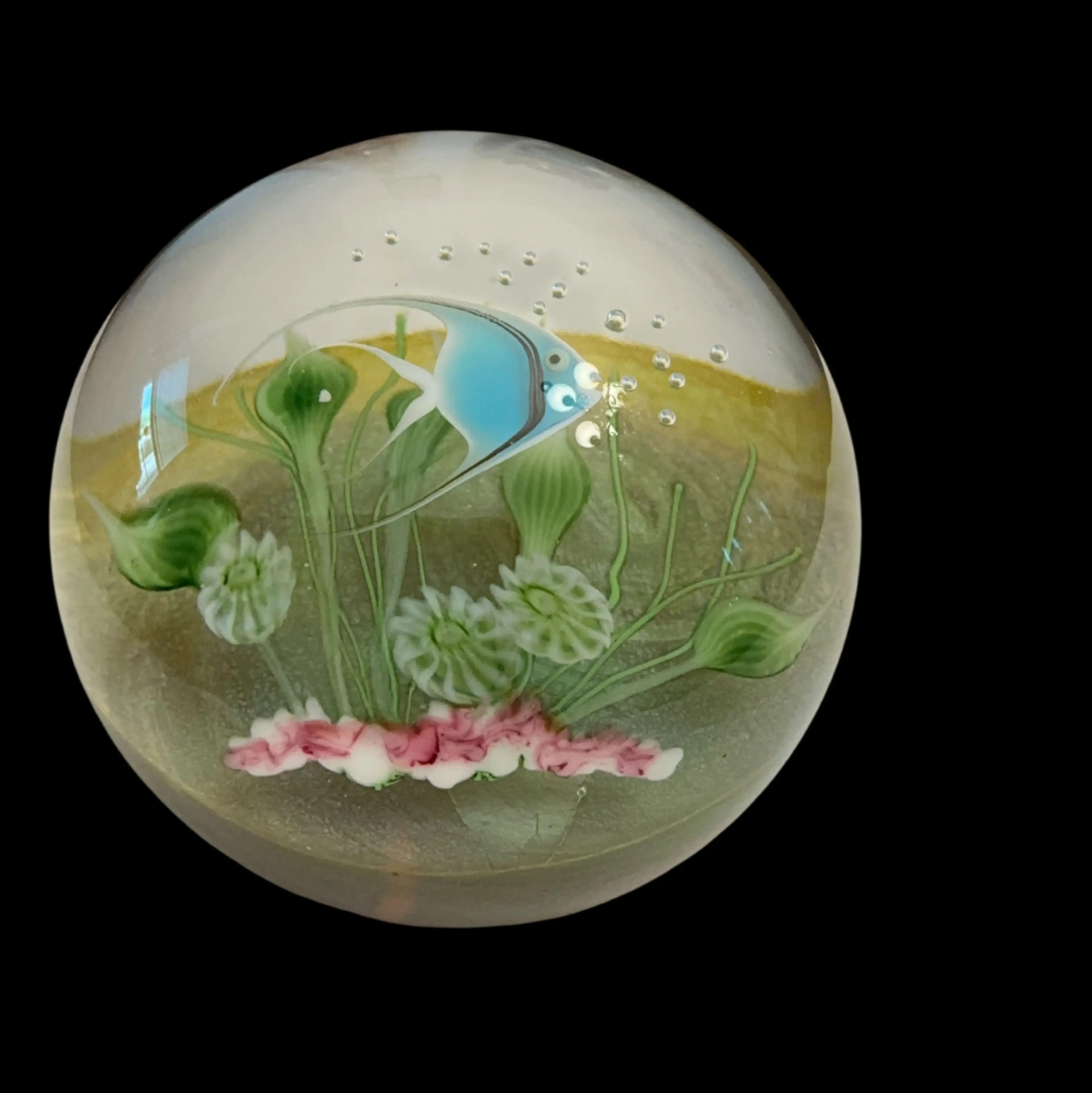 Image 1 of 7