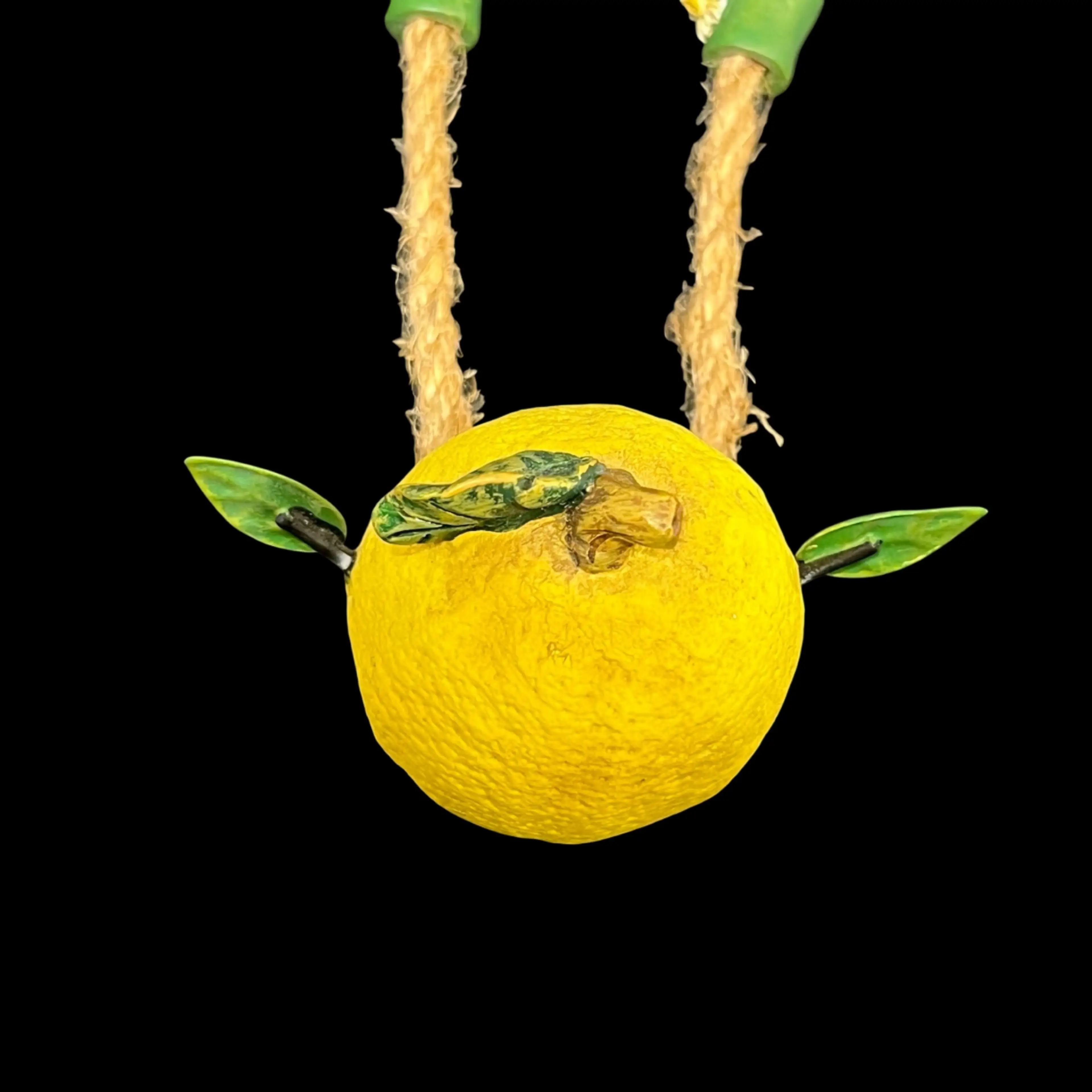 Image 5 of 6