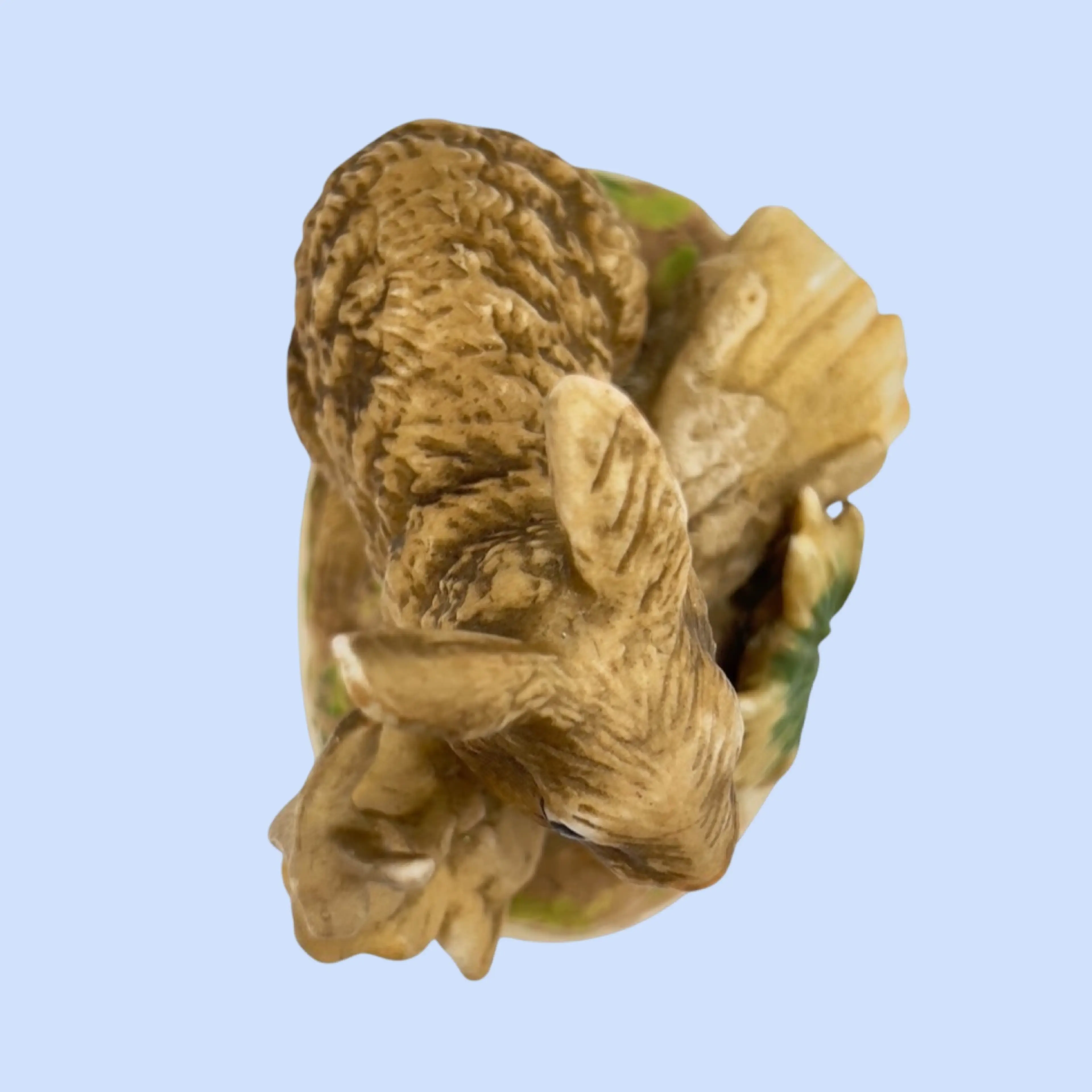 Image 5 of 8