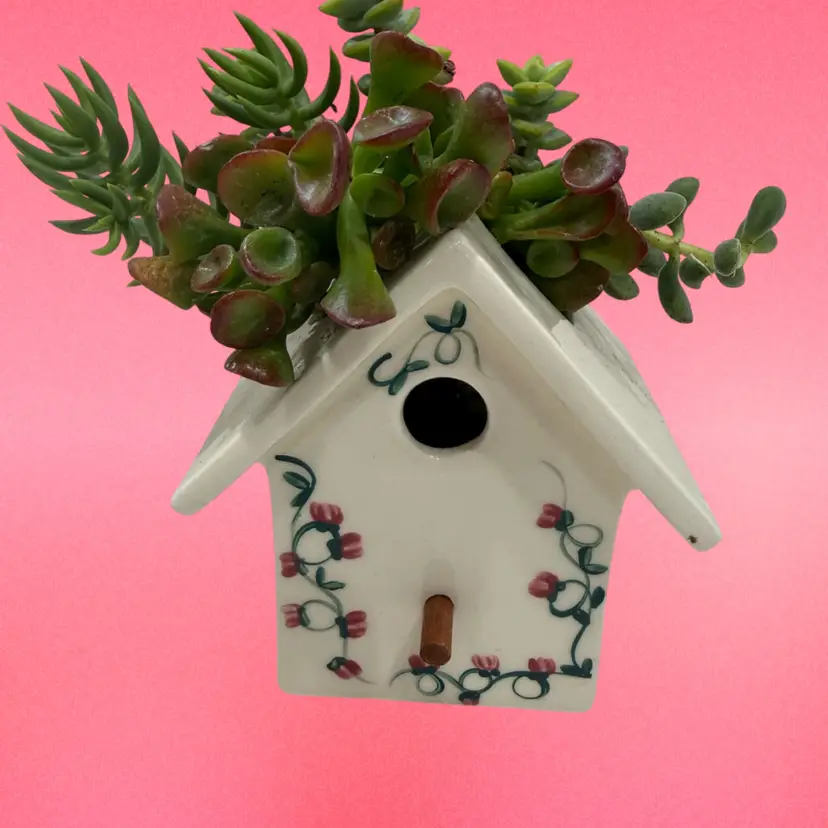 Succulent Bird House Planter Wall Pocket