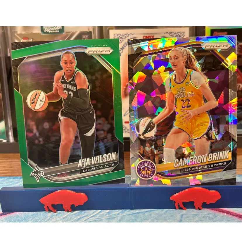 Aja Wilson Cam Brink Random WNBA Lot