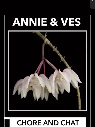 Annie and Vespirs - Chore And Chat