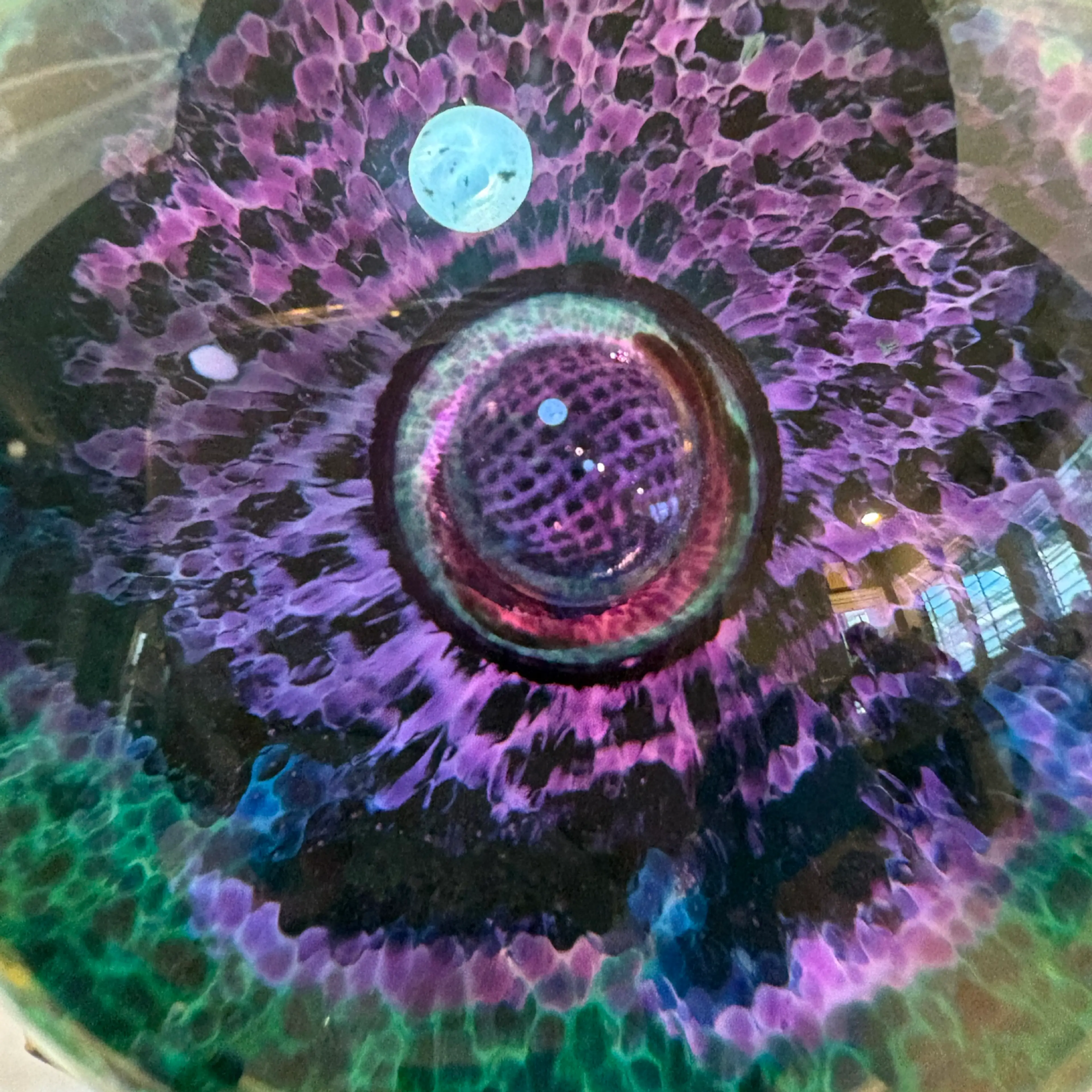 Image 4 of 5