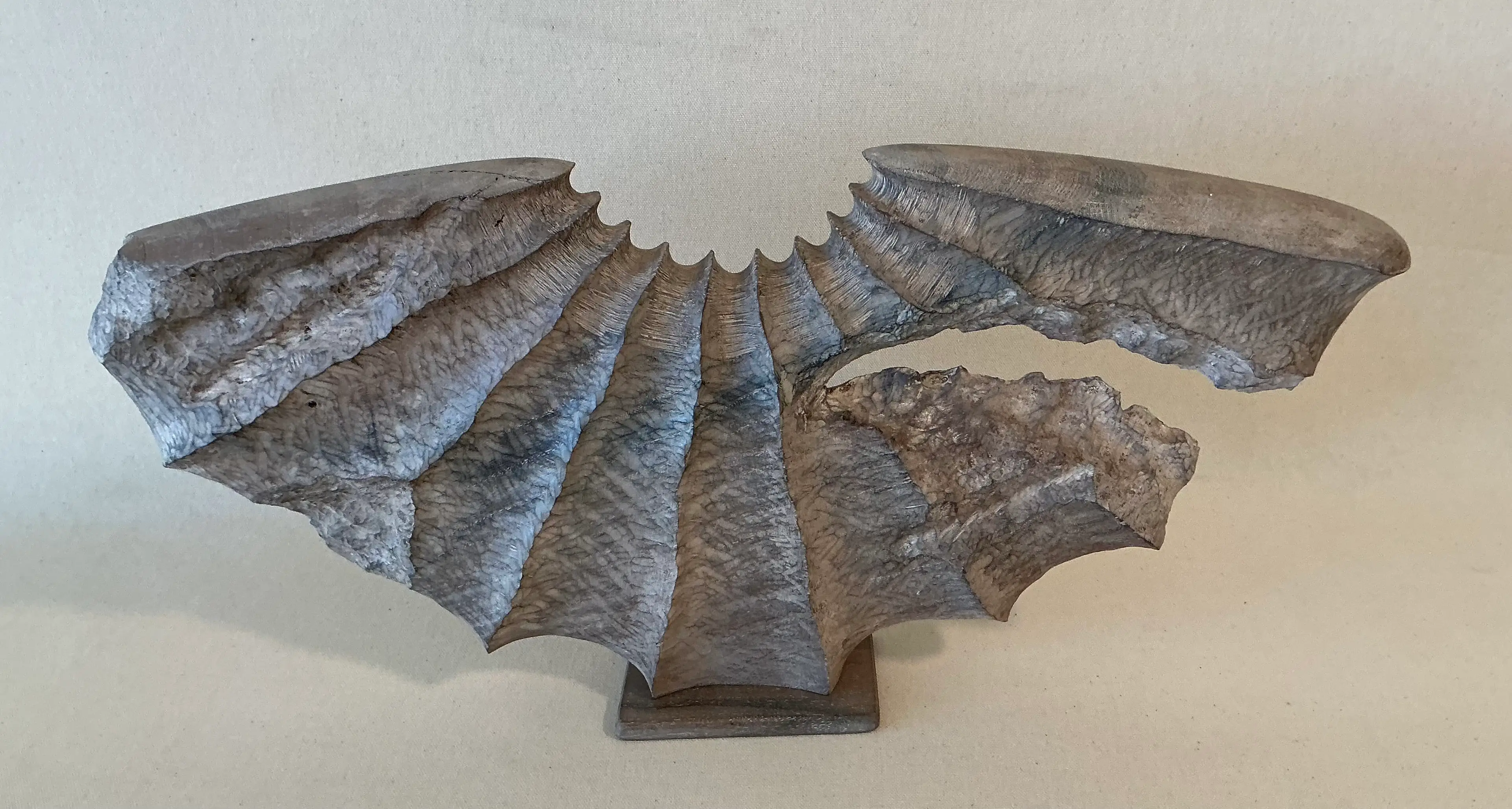 Image 2 of 5