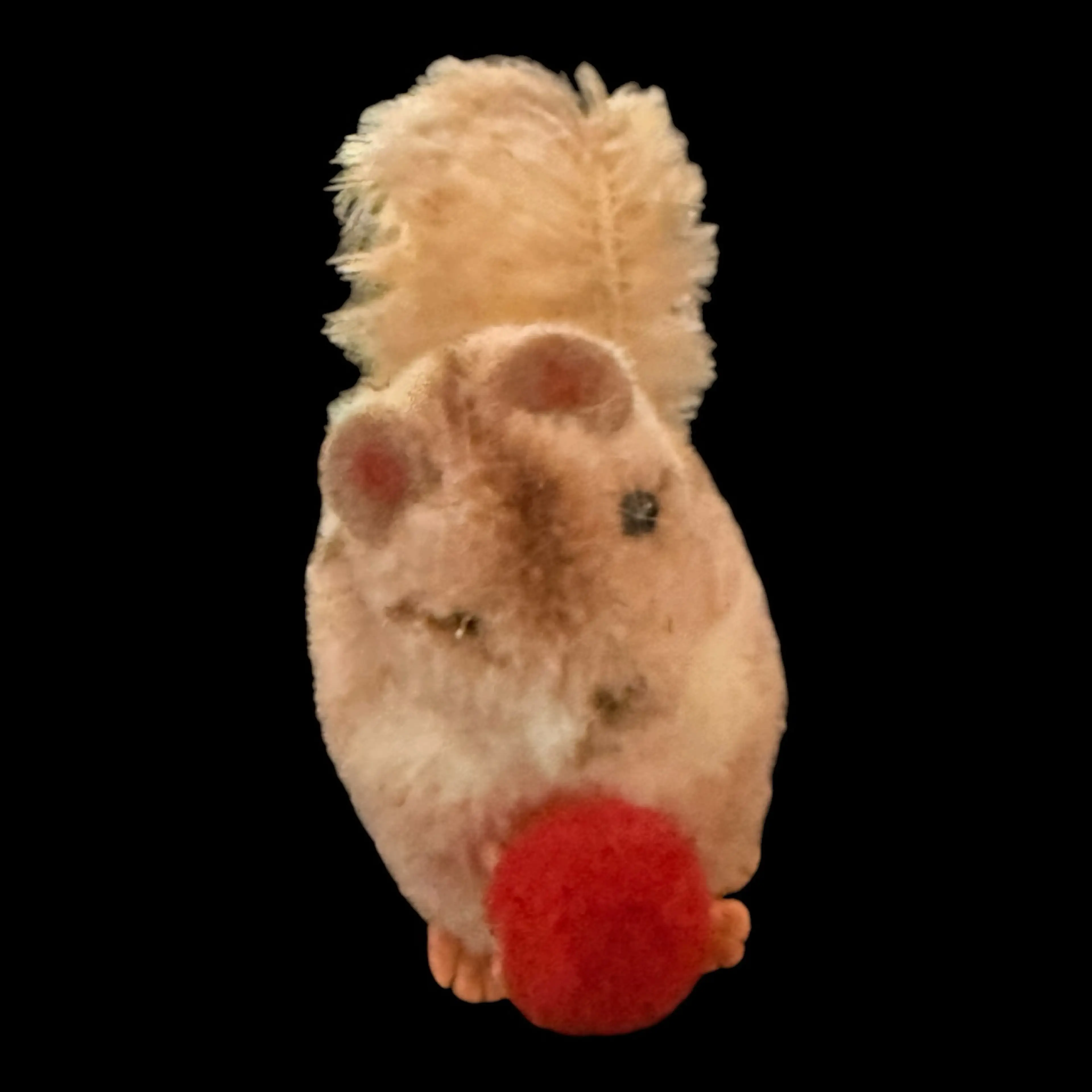 Image 4 of 4
