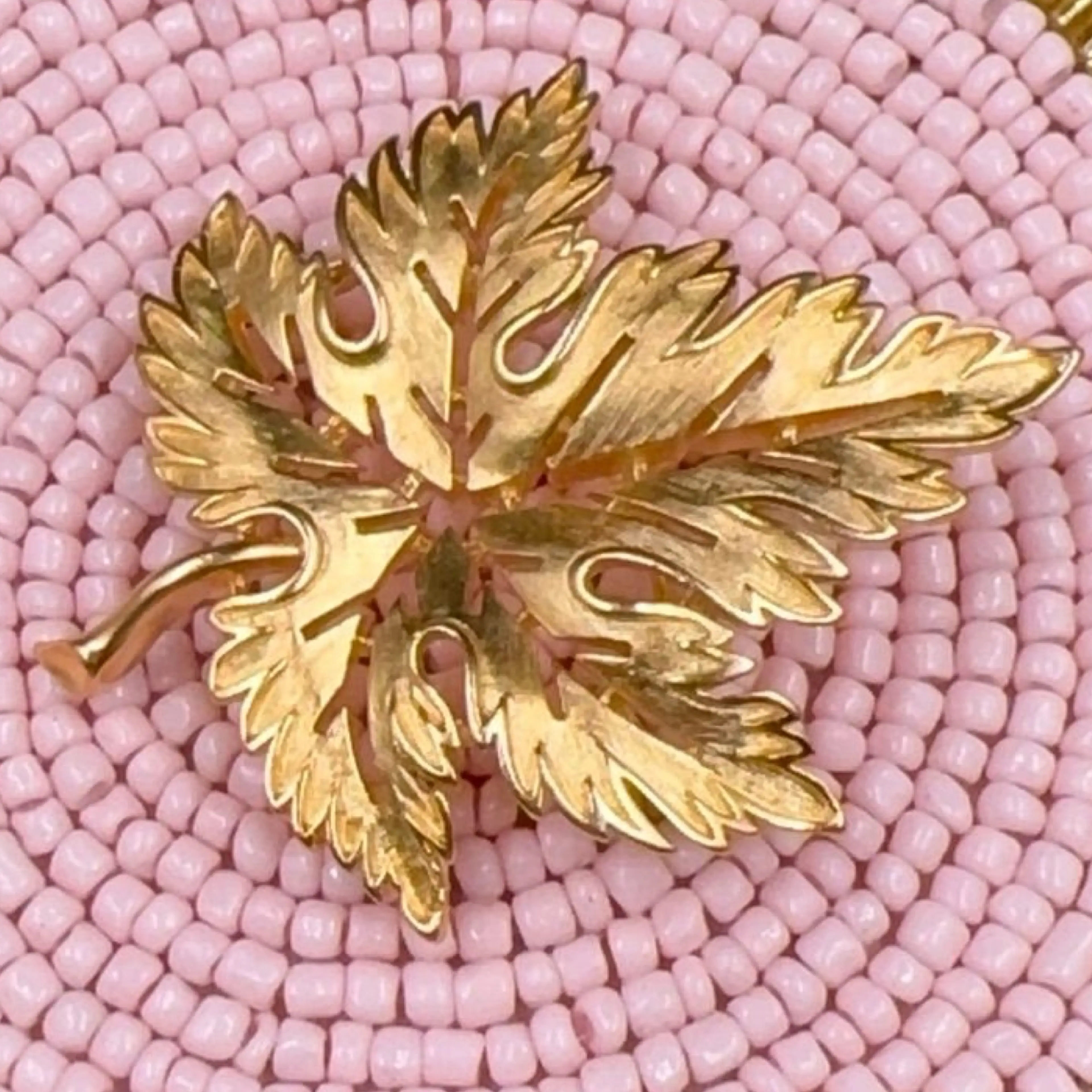Image 5 of 8