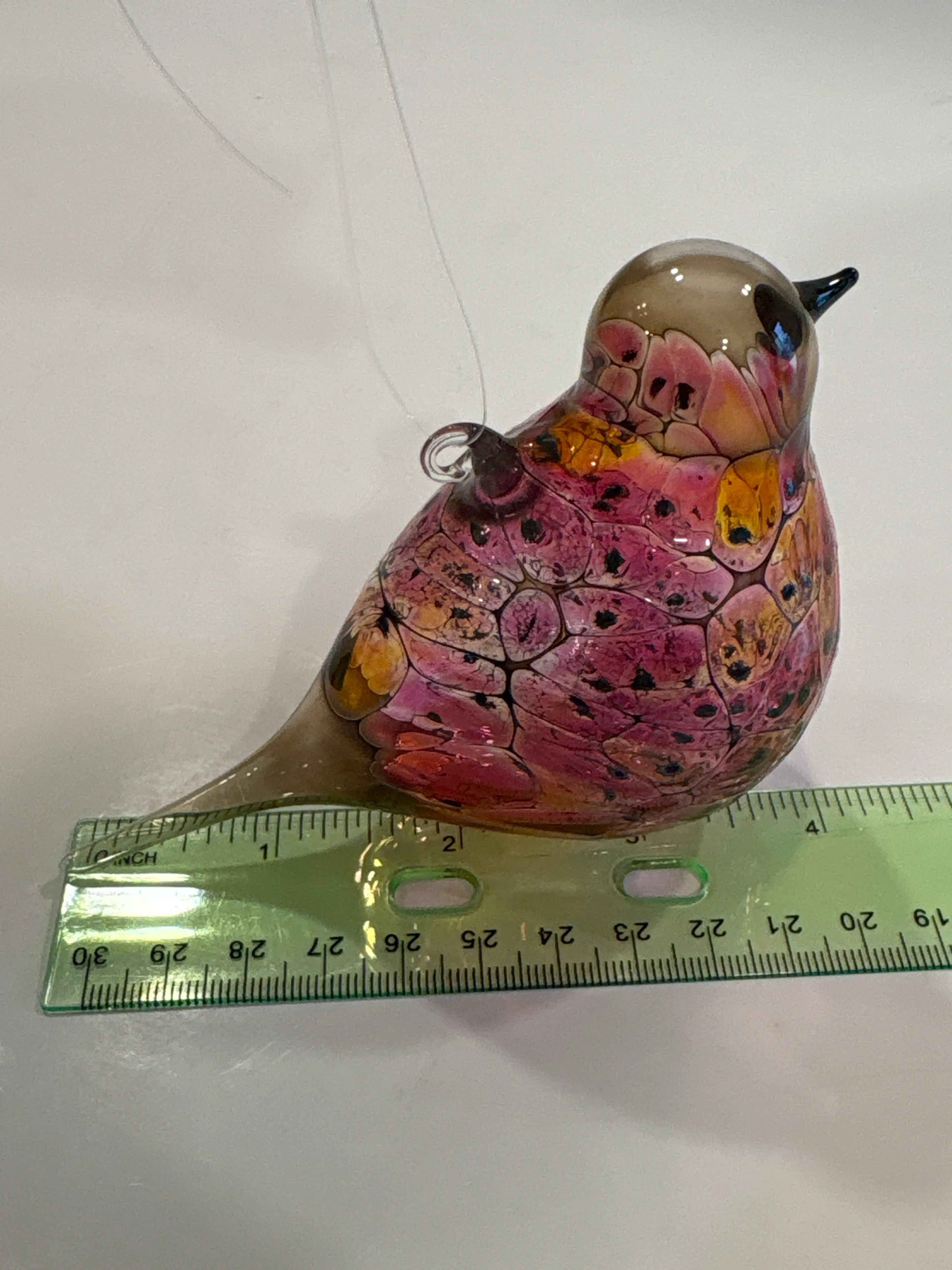 Image 4 of 5