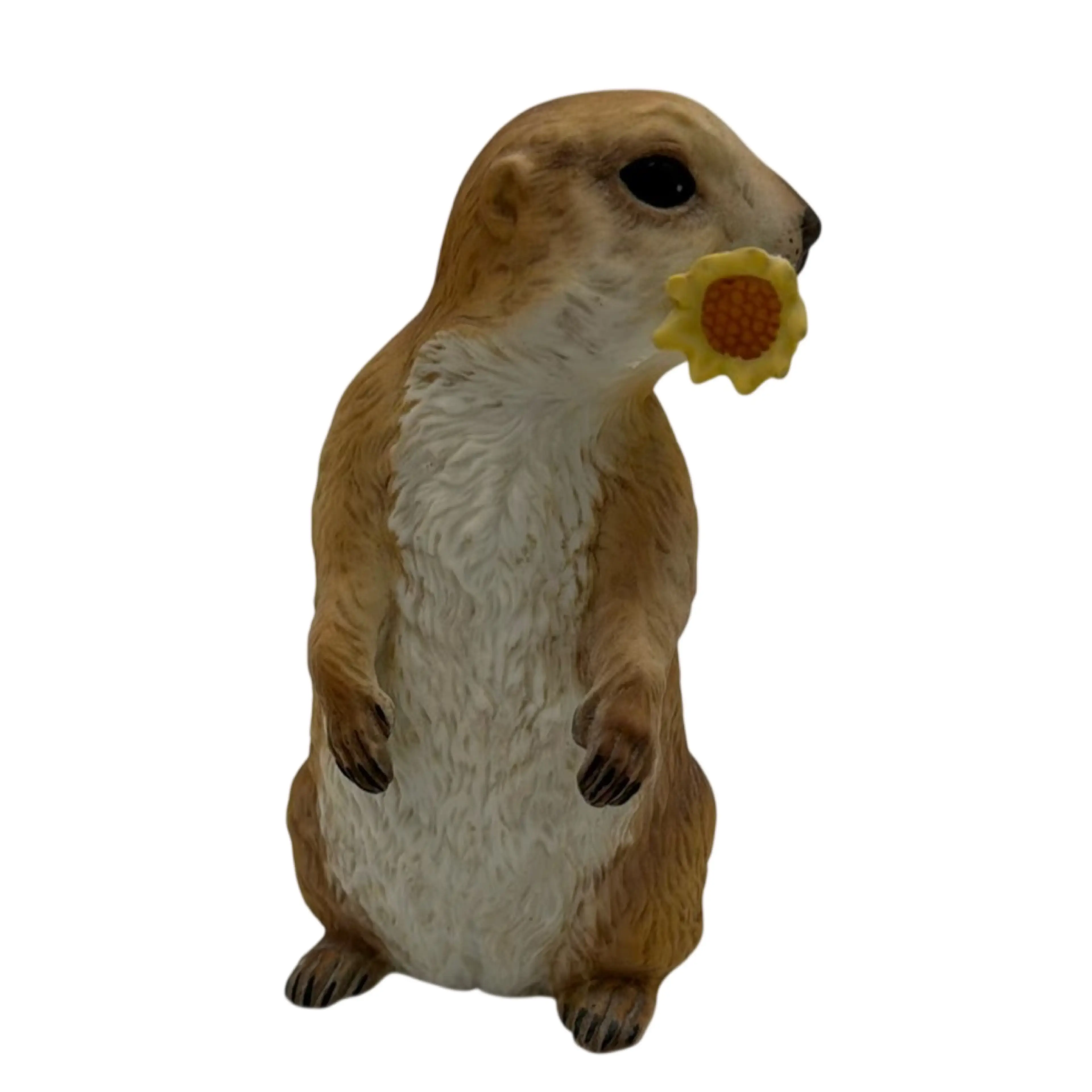 Image 3 of 8
