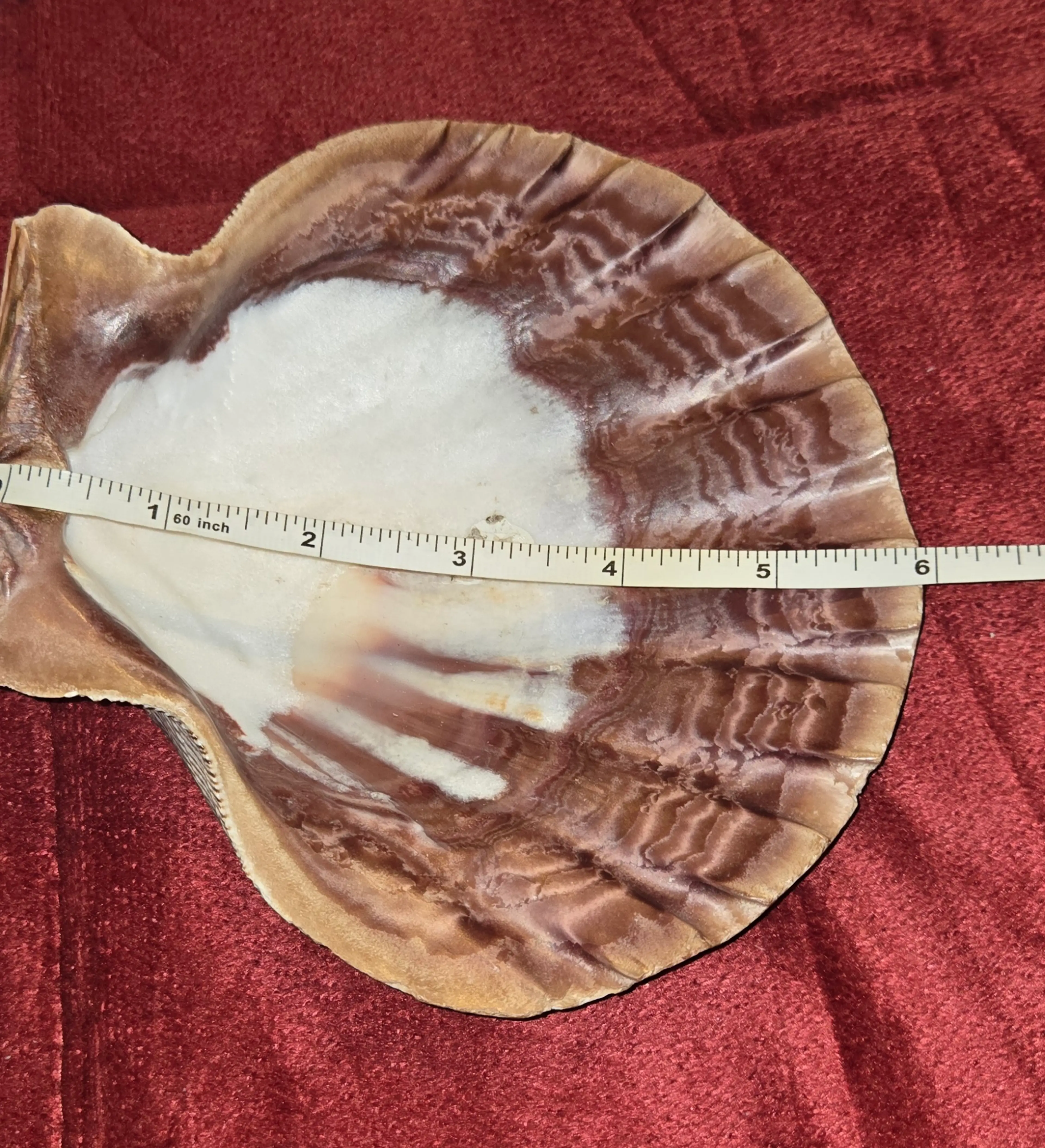 Image 2 of 4