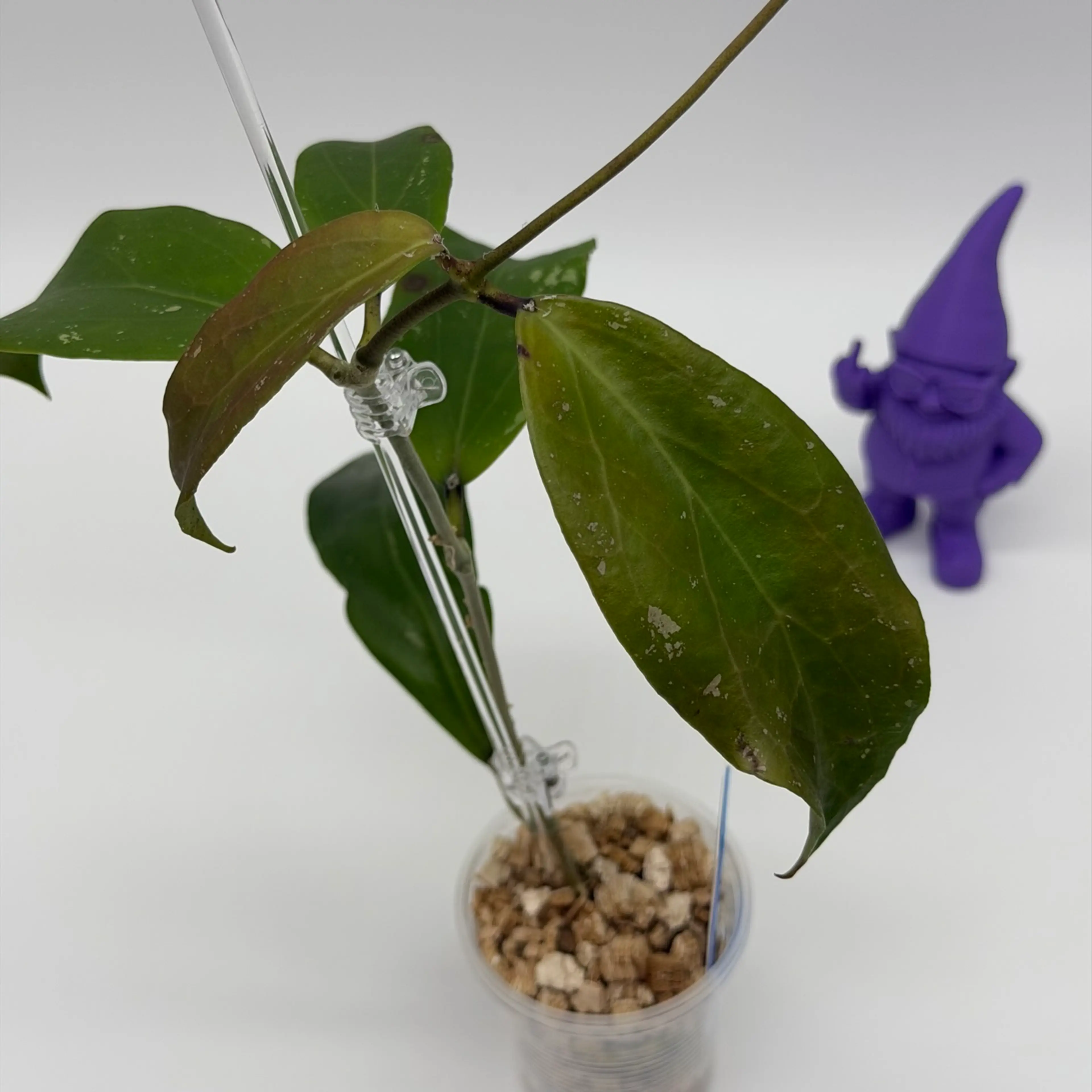Image 4 of 4
