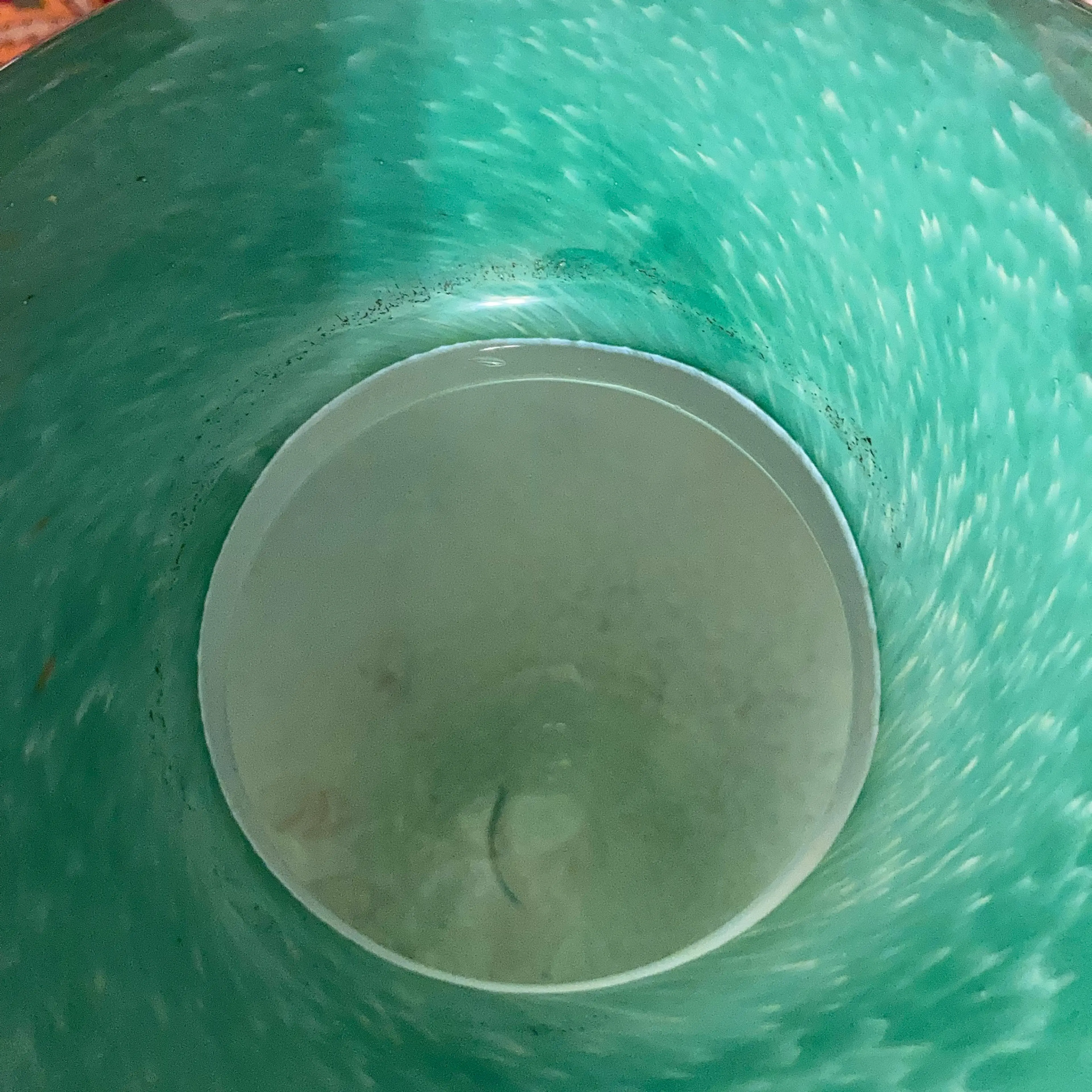 Image 4 of 14