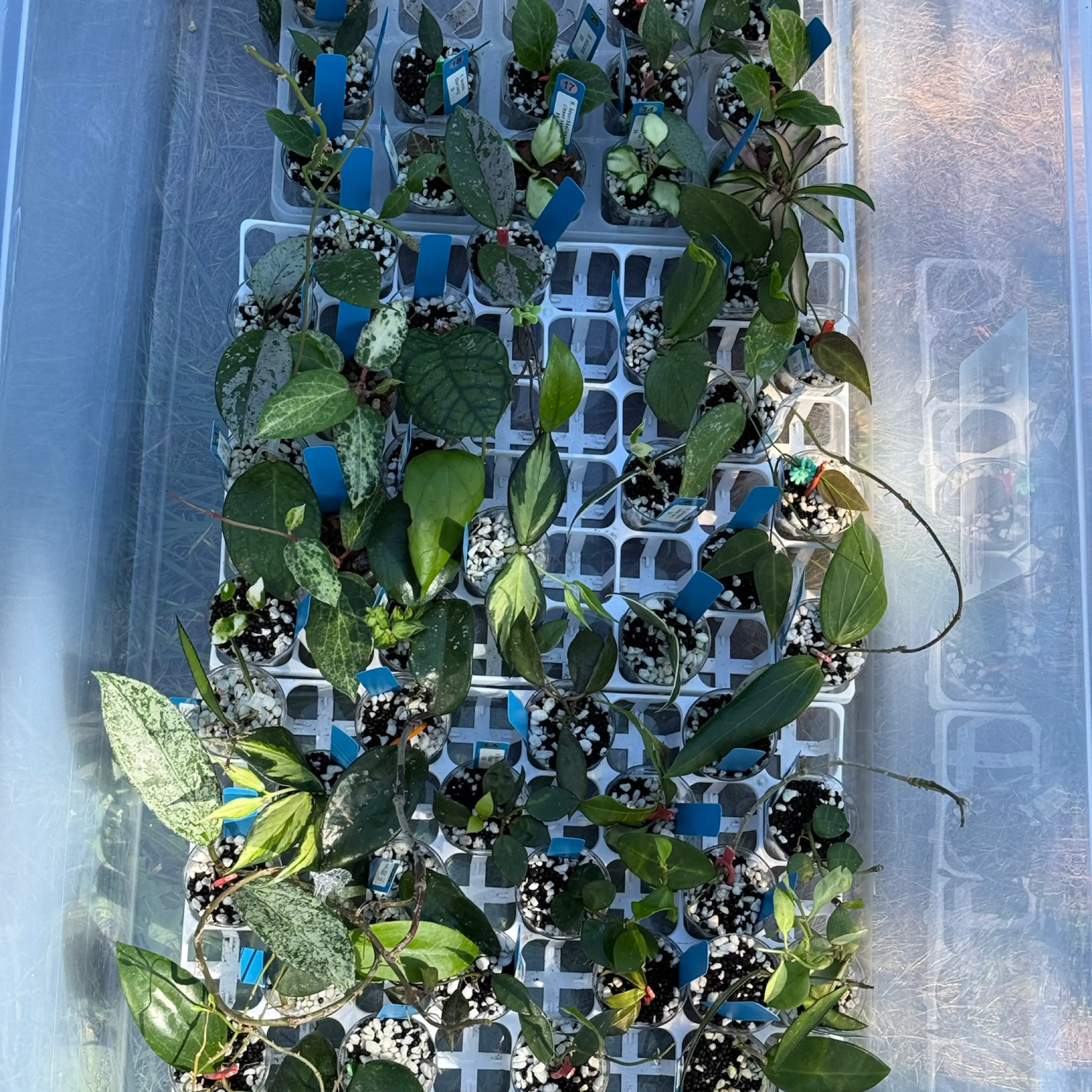 Image 3 of 3