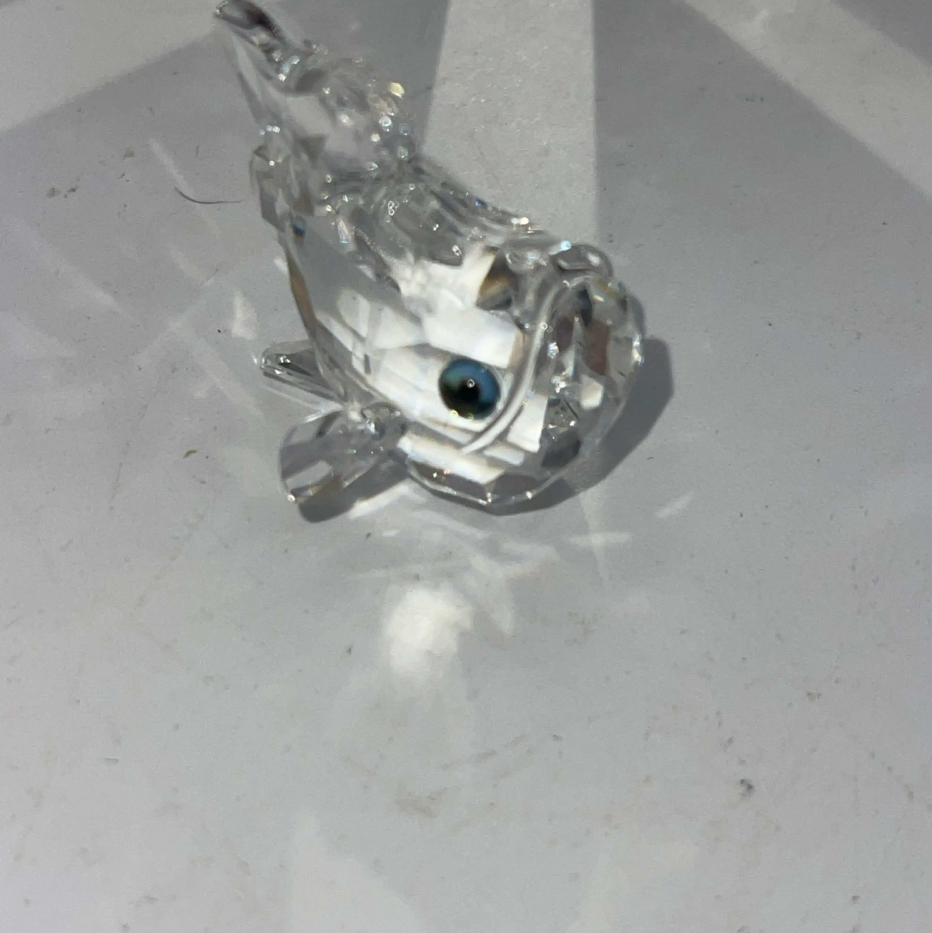 Image 5 of 5