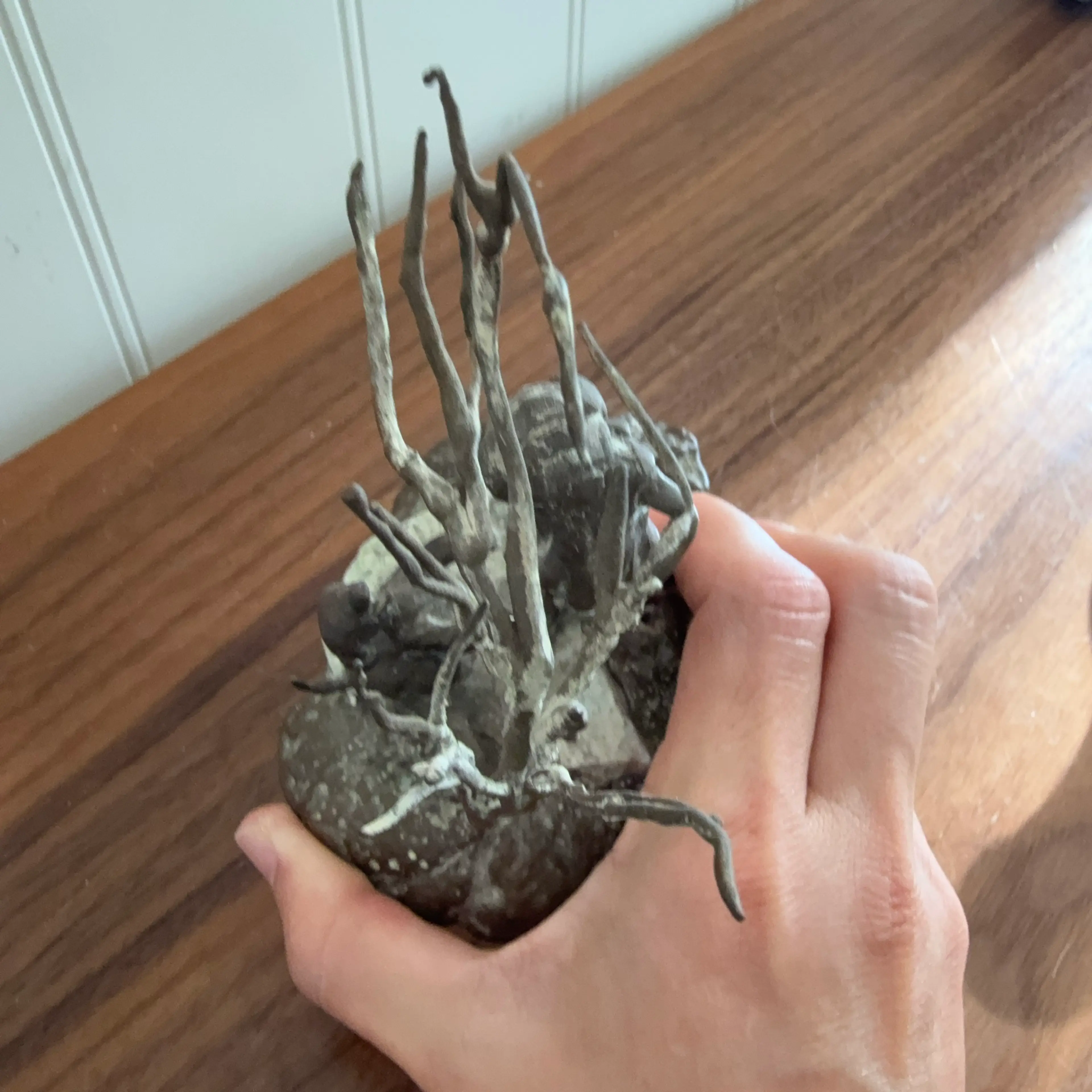 Image 3 of 5