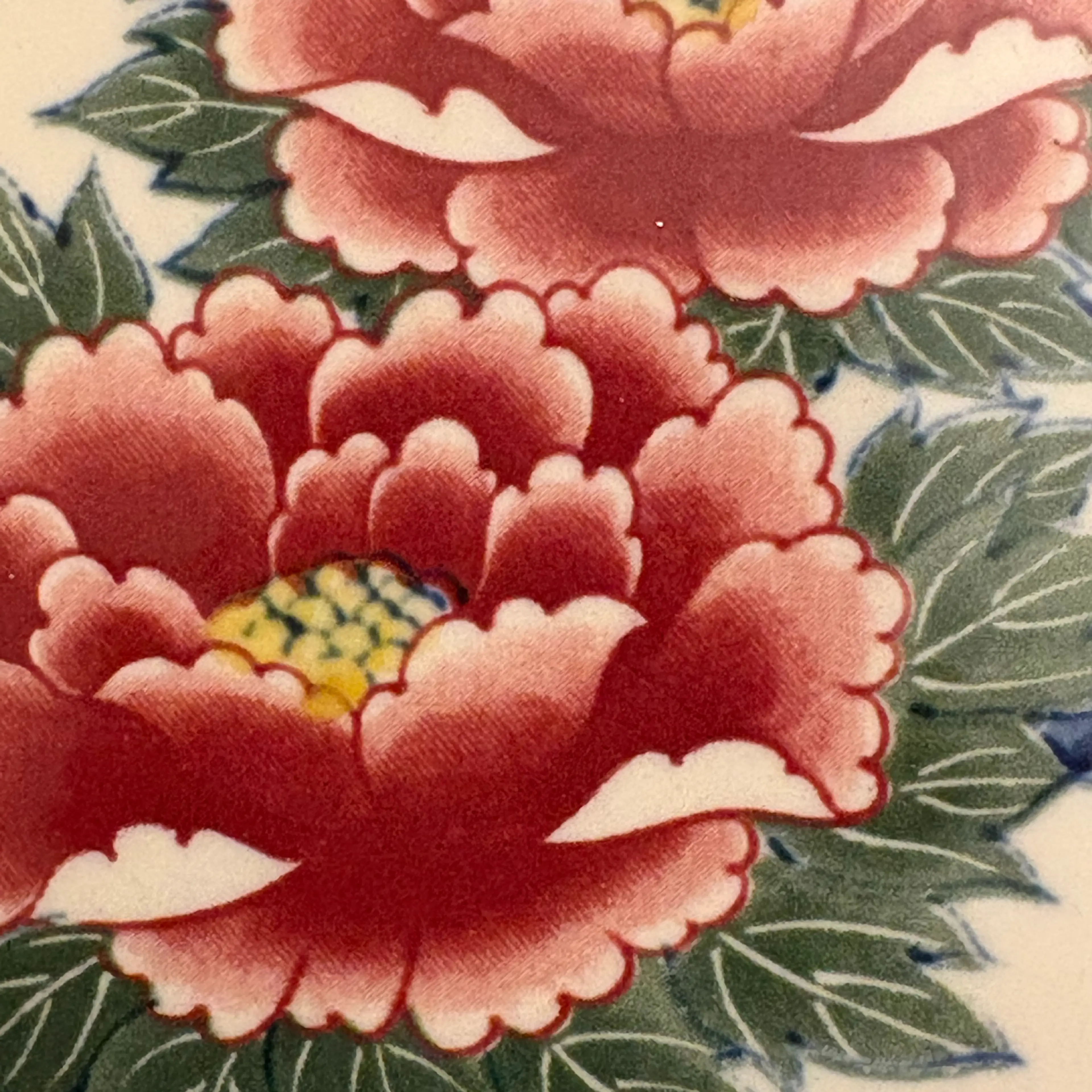 Image 5 of 8