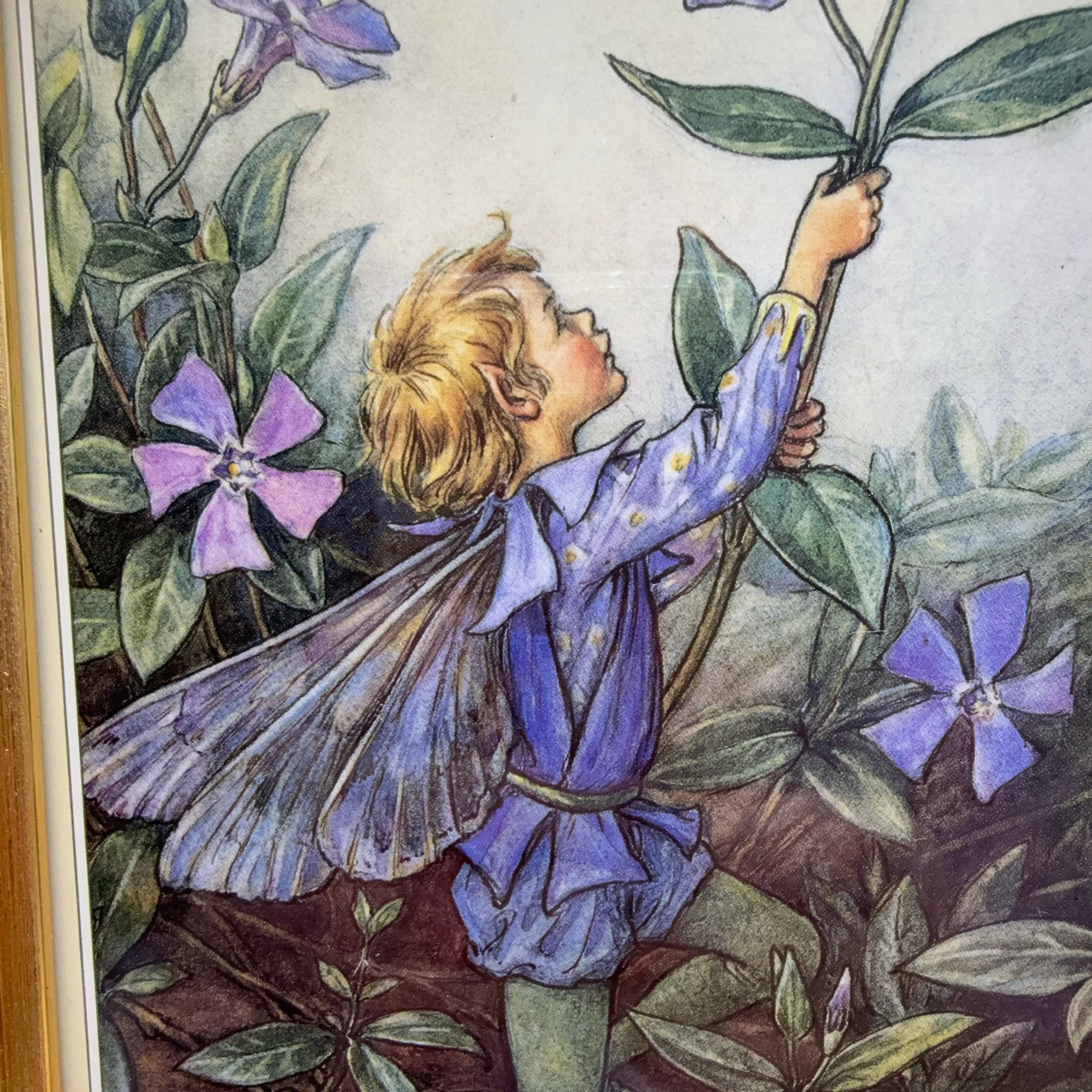 Image 4 of 6