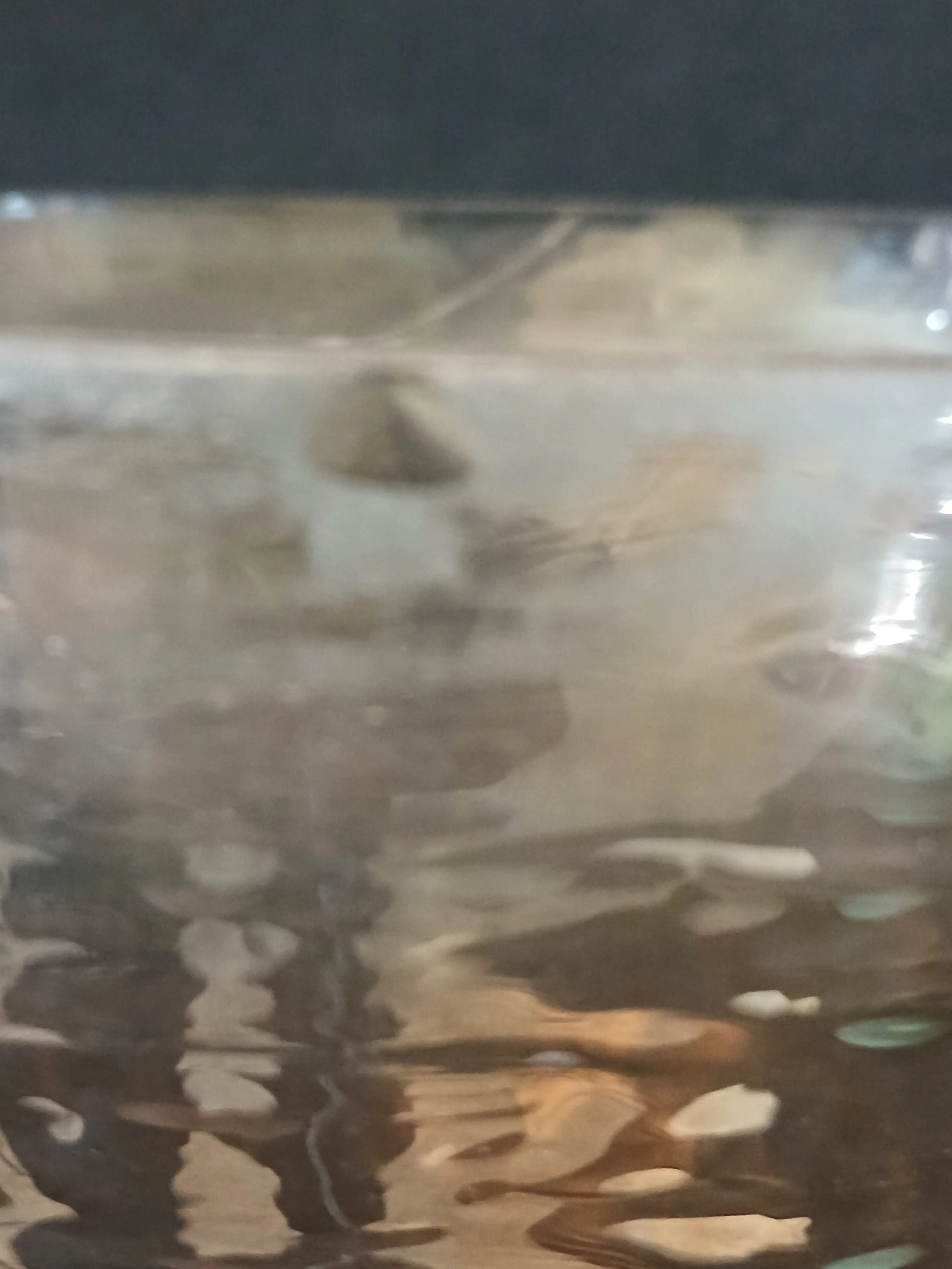 Image 4 of 5