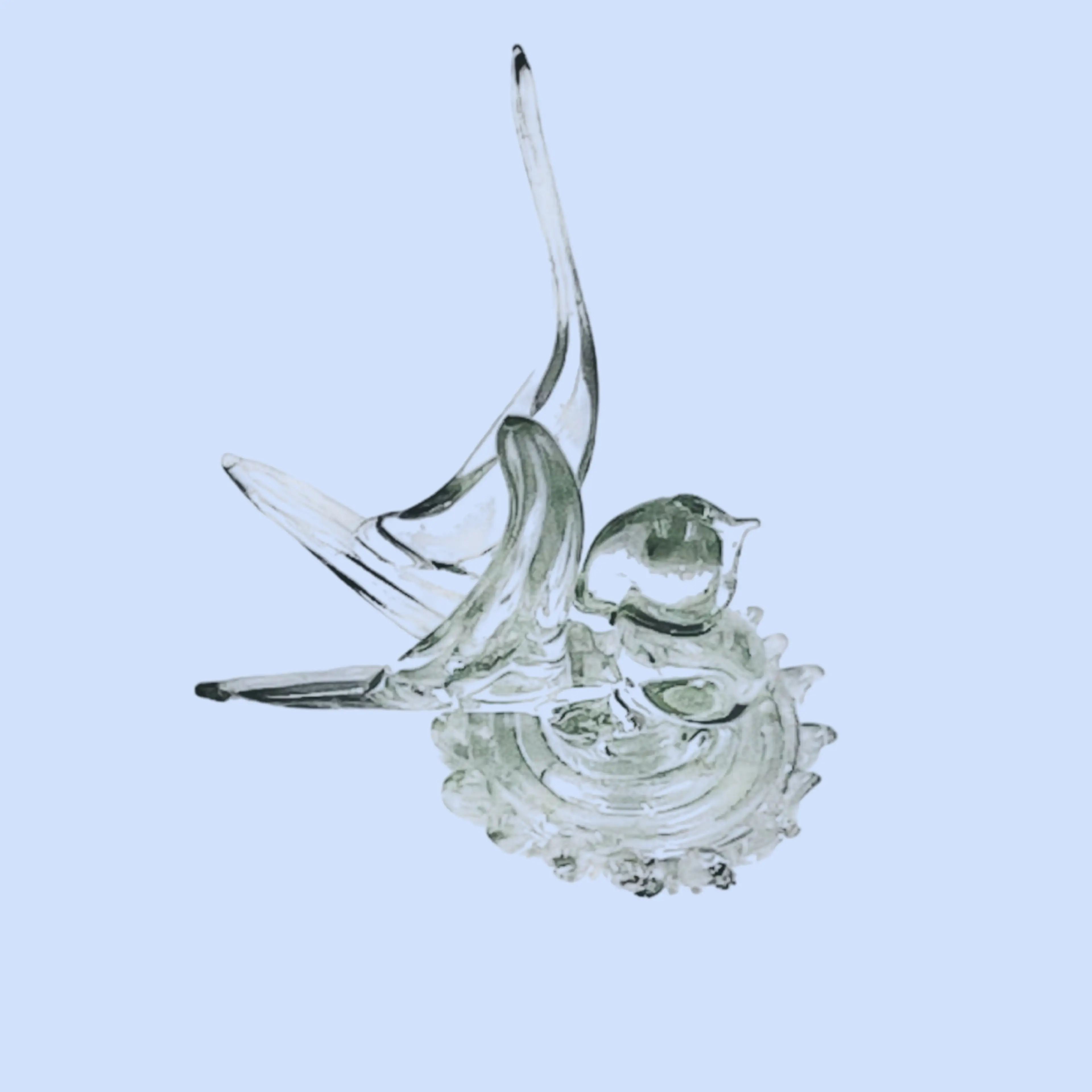 Image 4 of 9