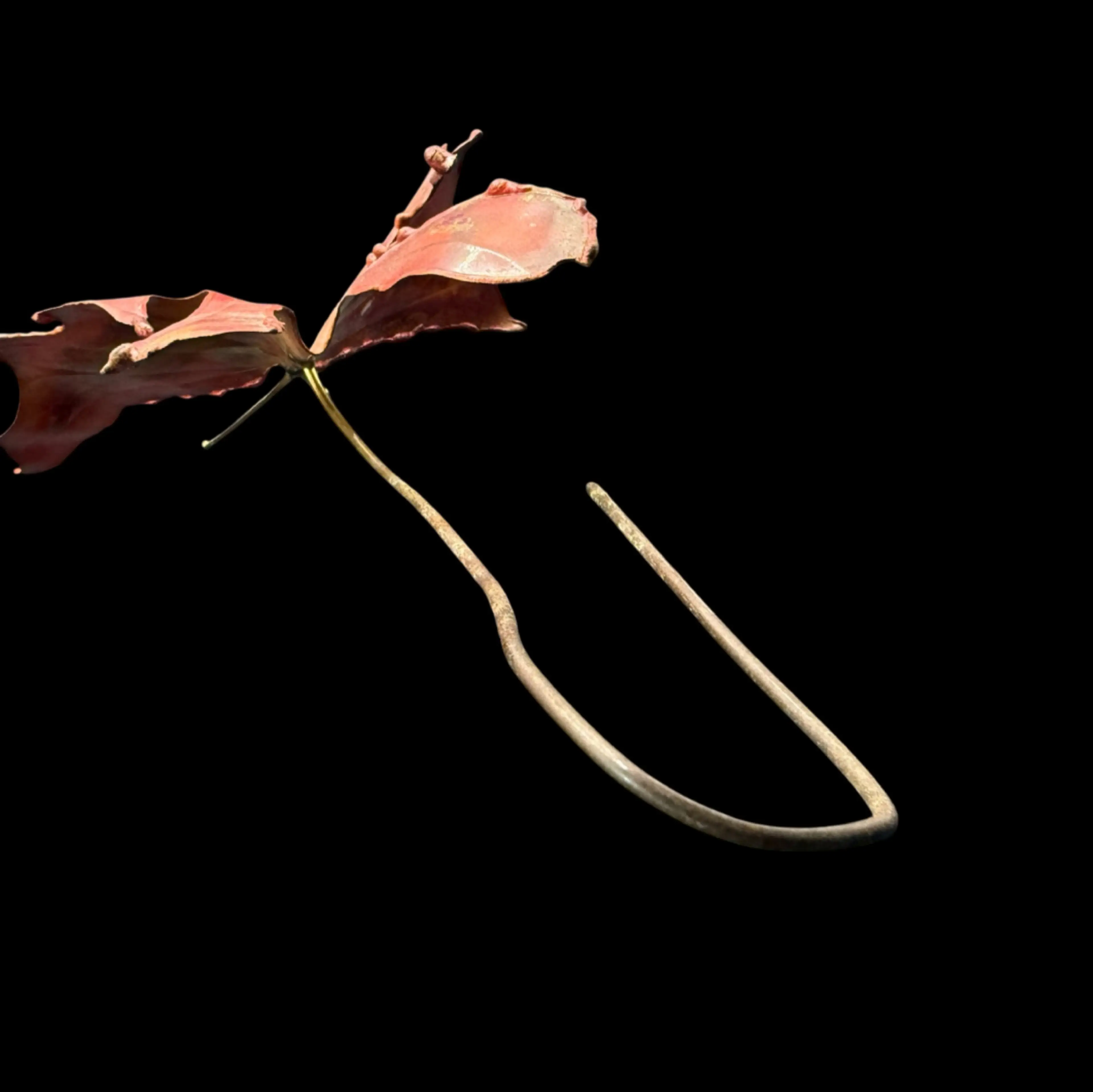 Image 5 of 5