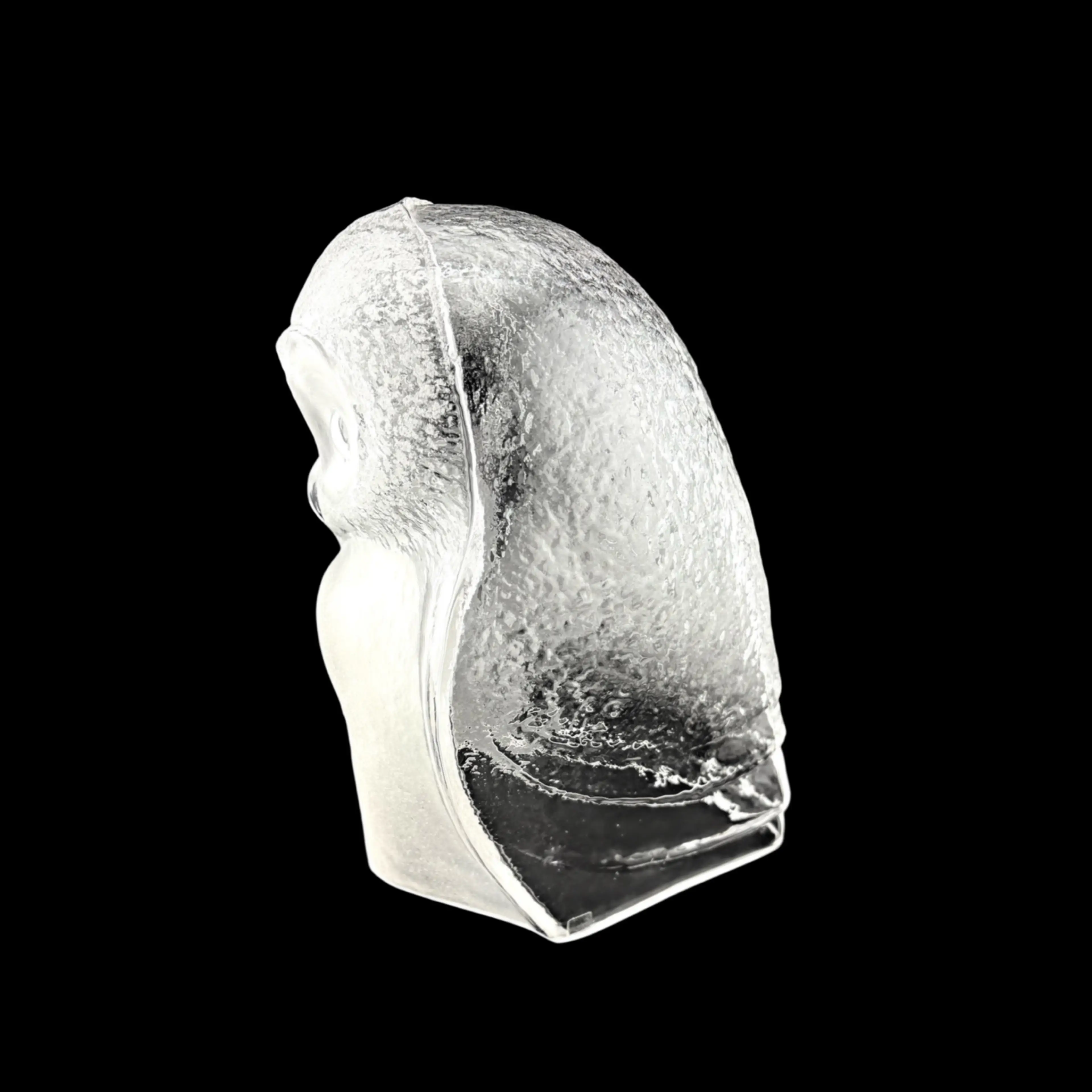Image 5 of 11