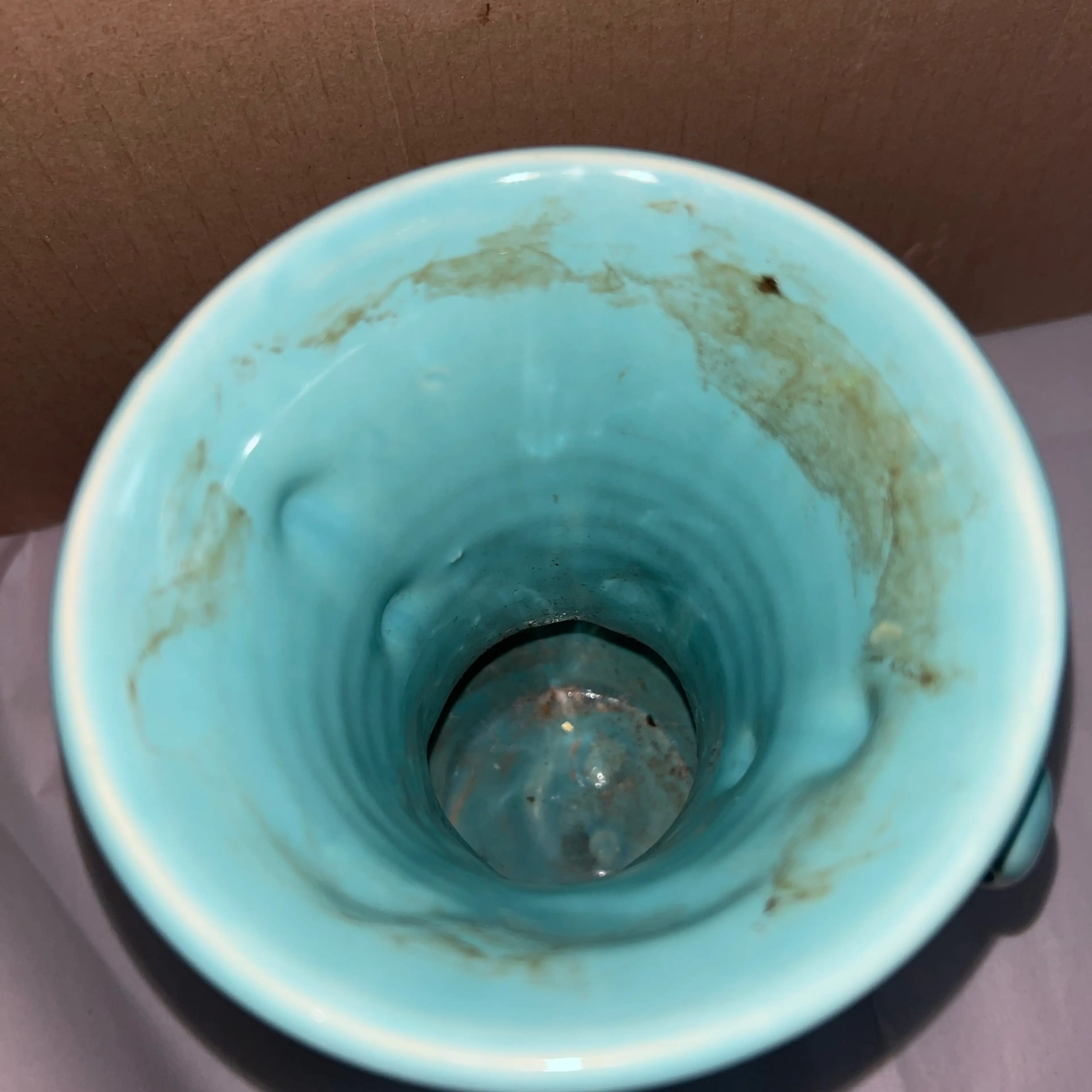 Image 5 of 8